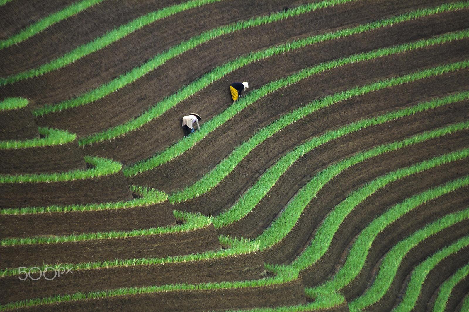 Canon EF 100-300mm f/5.6 sample photo. Two women in work photography