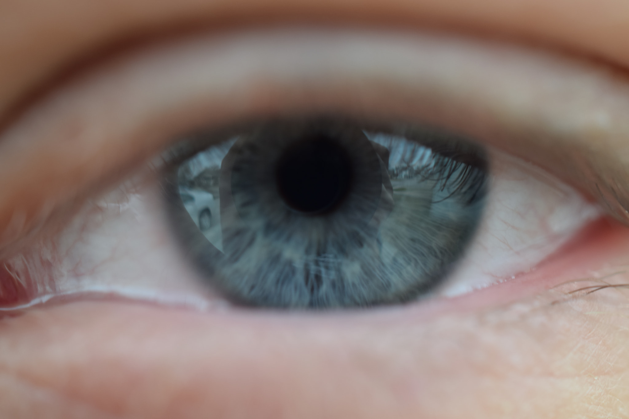 Nikon AF-S DX Micro Nikkor 40mm F2.8 sample photo. Blue eye photography
