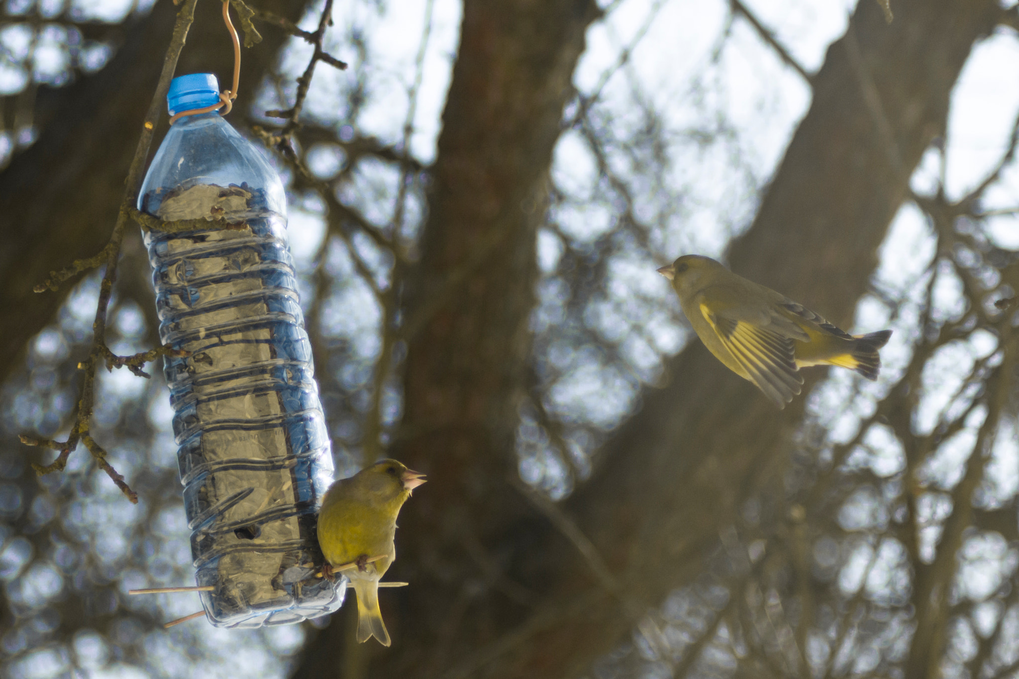 Canon EOS 760D (EOS Rebel T6s / EOS 8000D) sample photo. Admire photography