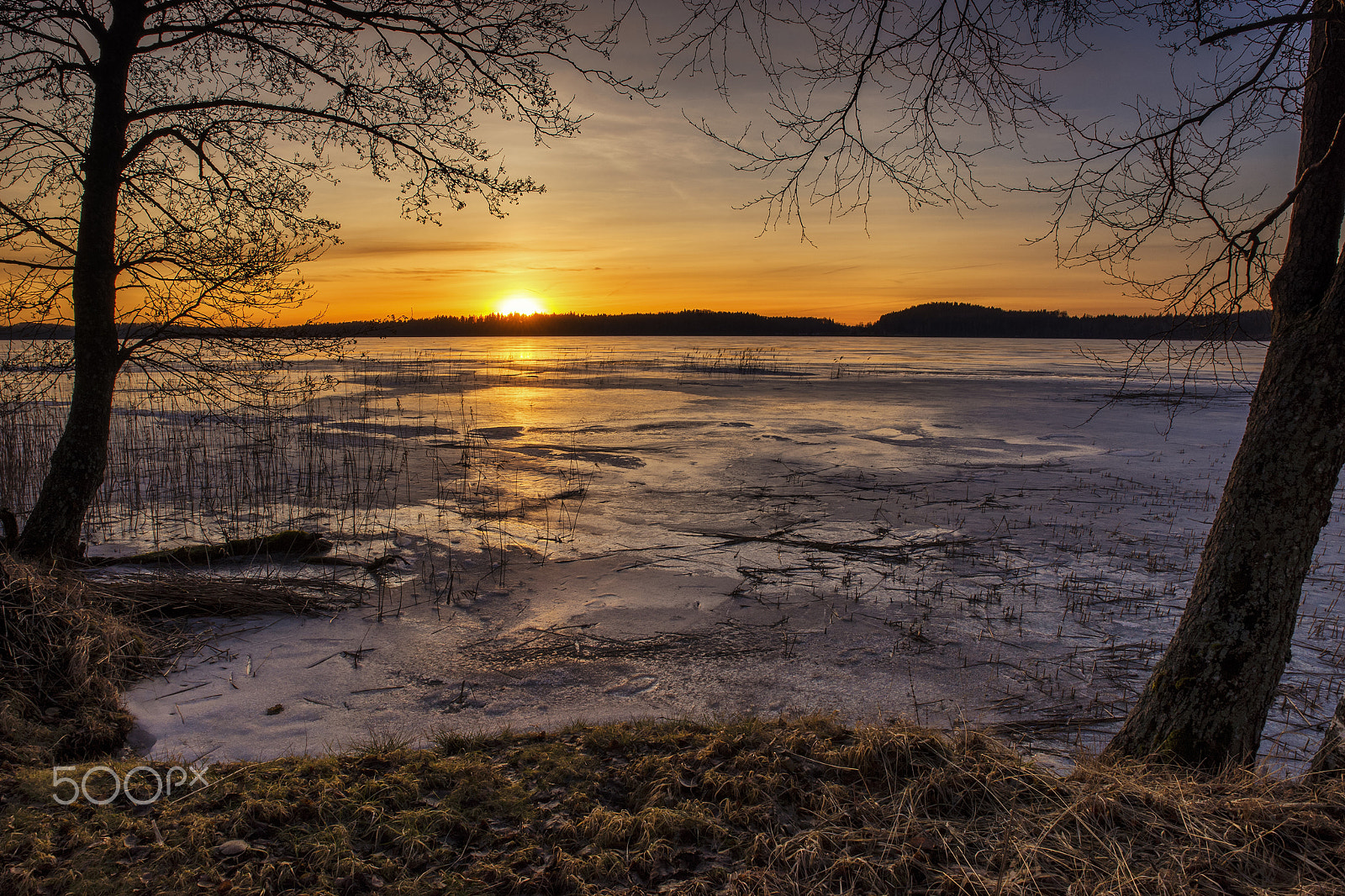 Sony a99 II + Tamron SP 24-70mm F2.8 Di VC USD sample photo. Winter sunset. photography