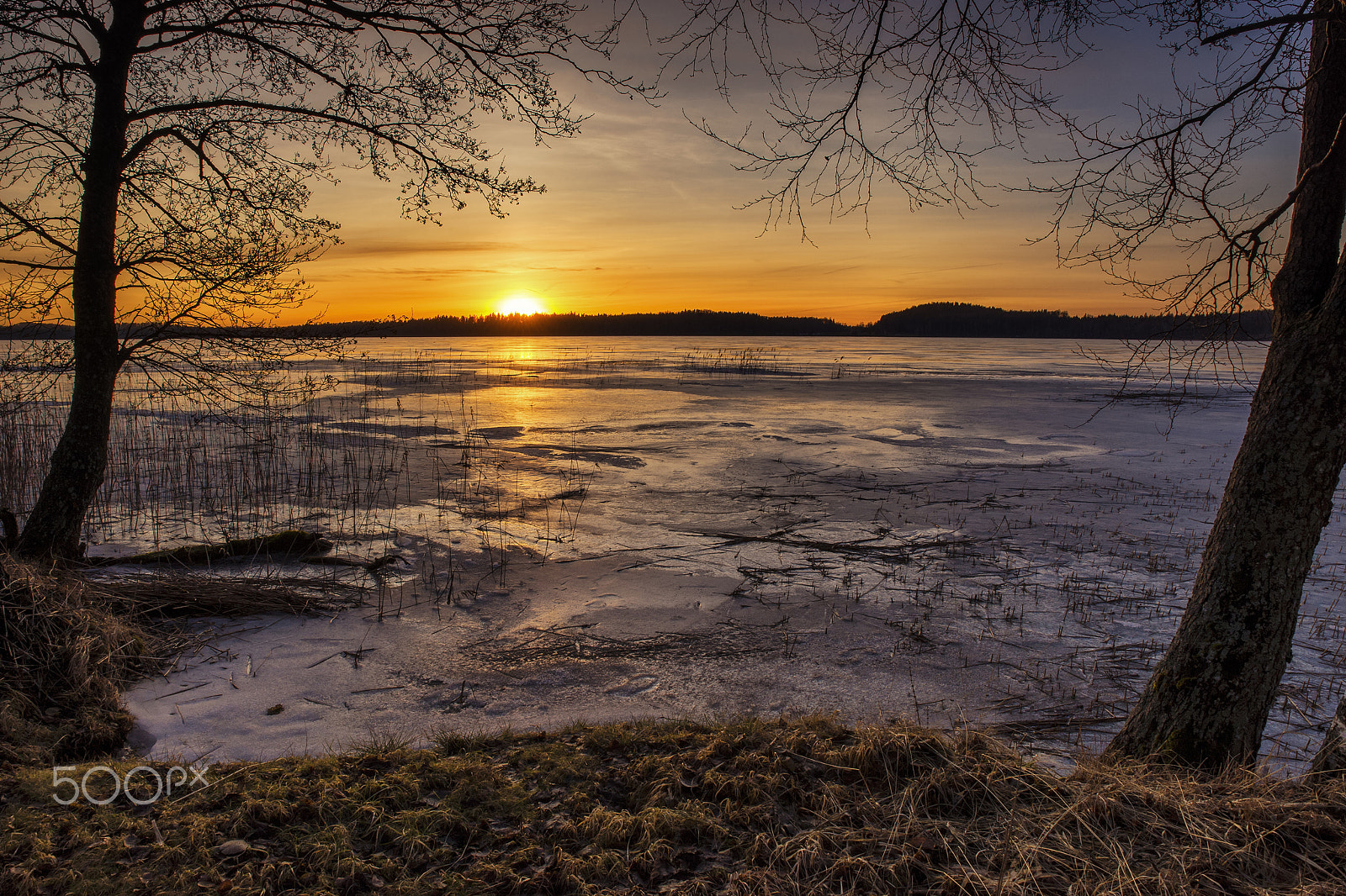 Sony a99 II sample photo. Winter sunset. photography