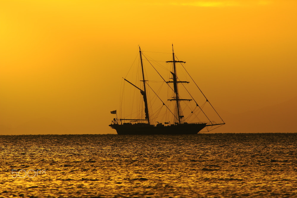 Canon EF-S 55-250mm F4-5.6 IS sample photo. Golden silouette photography