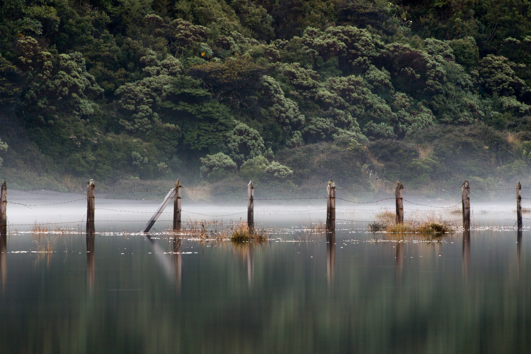 Canon EOS 70D + EF75-300mm f/4-5.6 sample photo. El limite reflejado photography