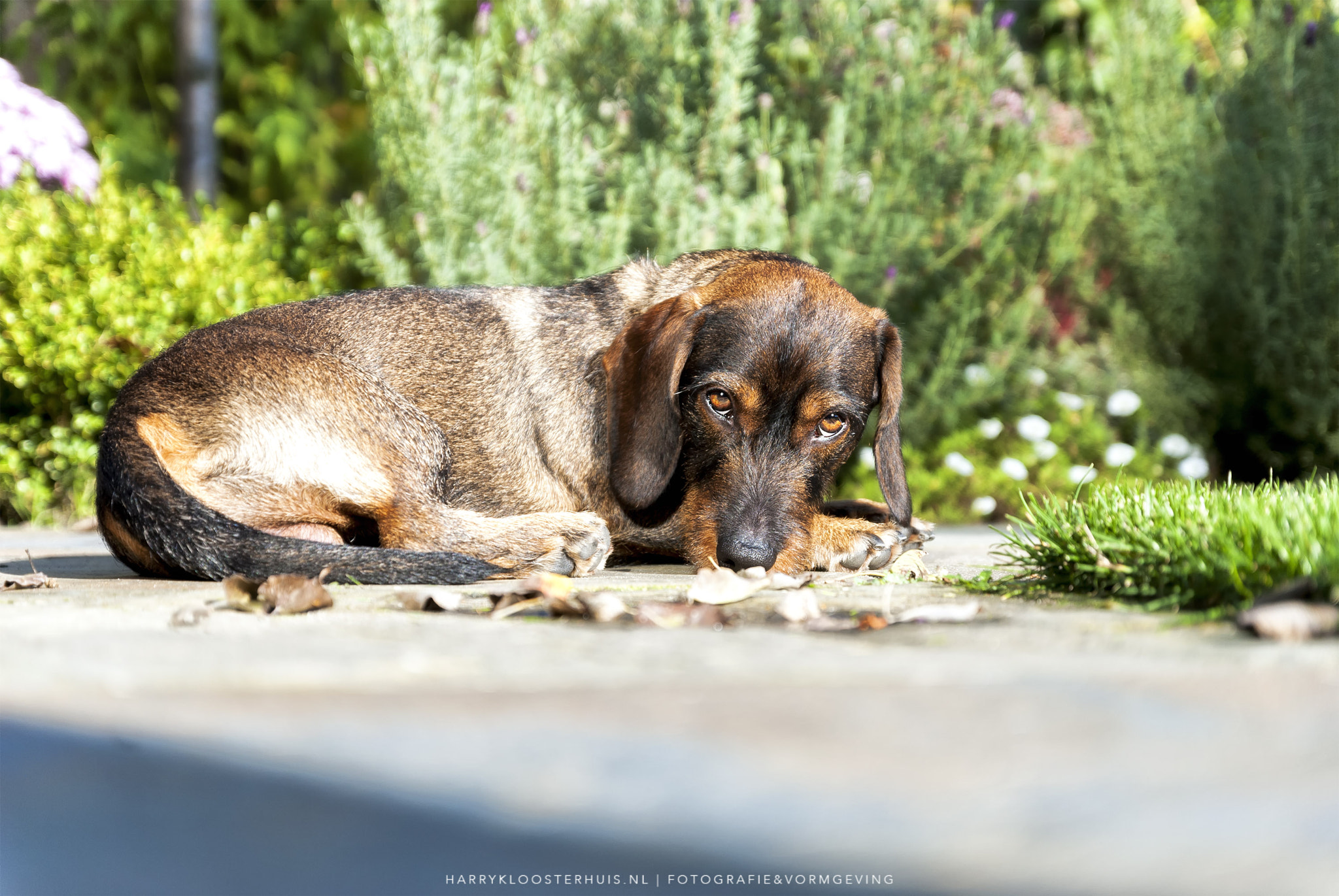 Nikon D80 sample photo. My best friend photography