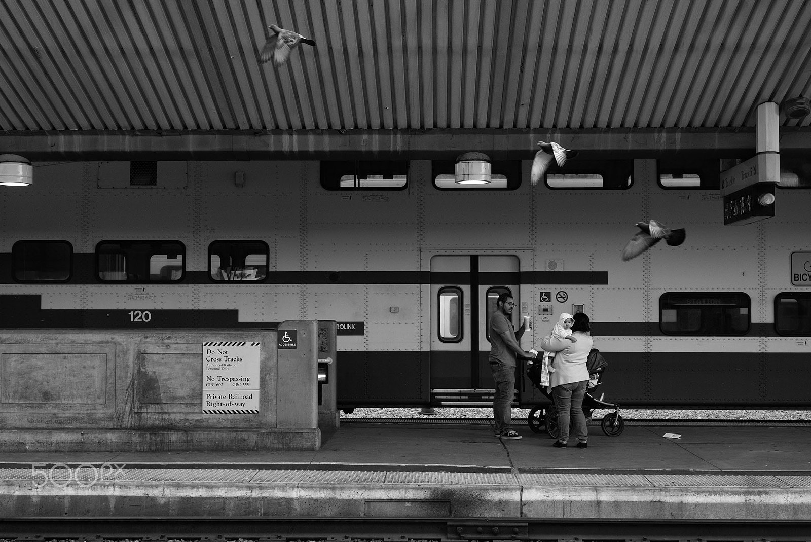Leica Summarit-M 50mm F2.4 sample photo. Platform. passengers. pigeons. photography