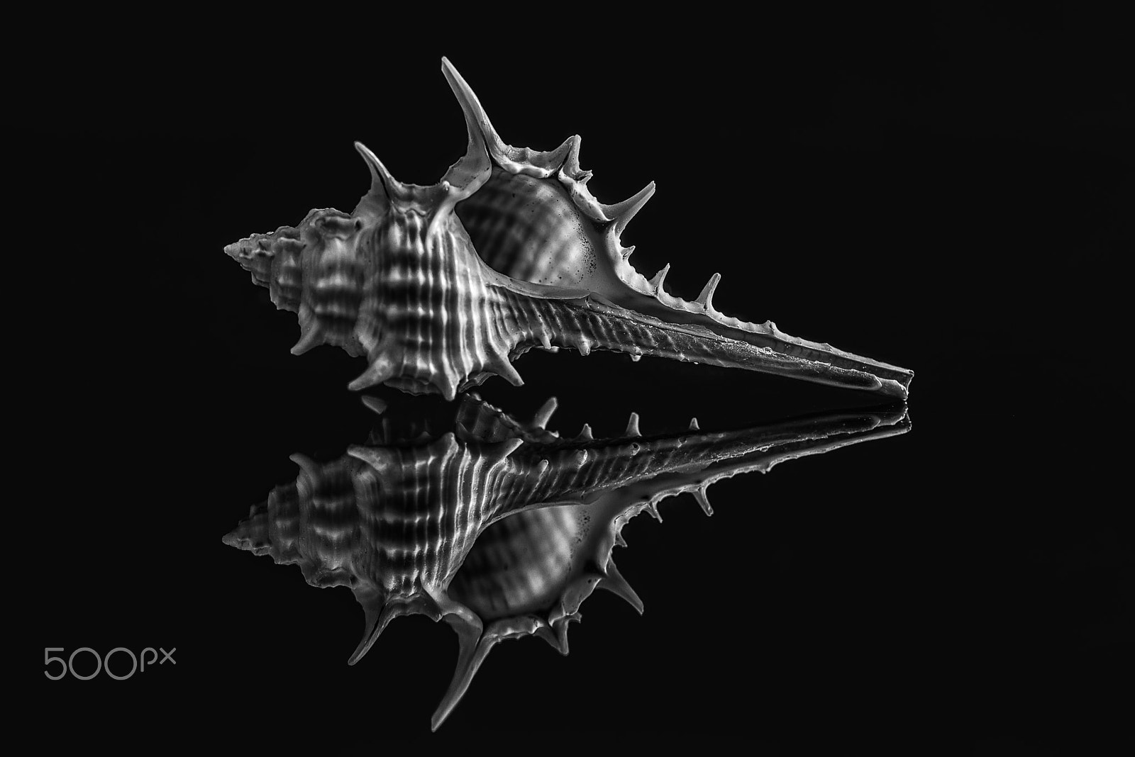 Nikon AF-S Micro-Nikkor 105mm F2.8G IF-ED VR sample photo. From the sea photography