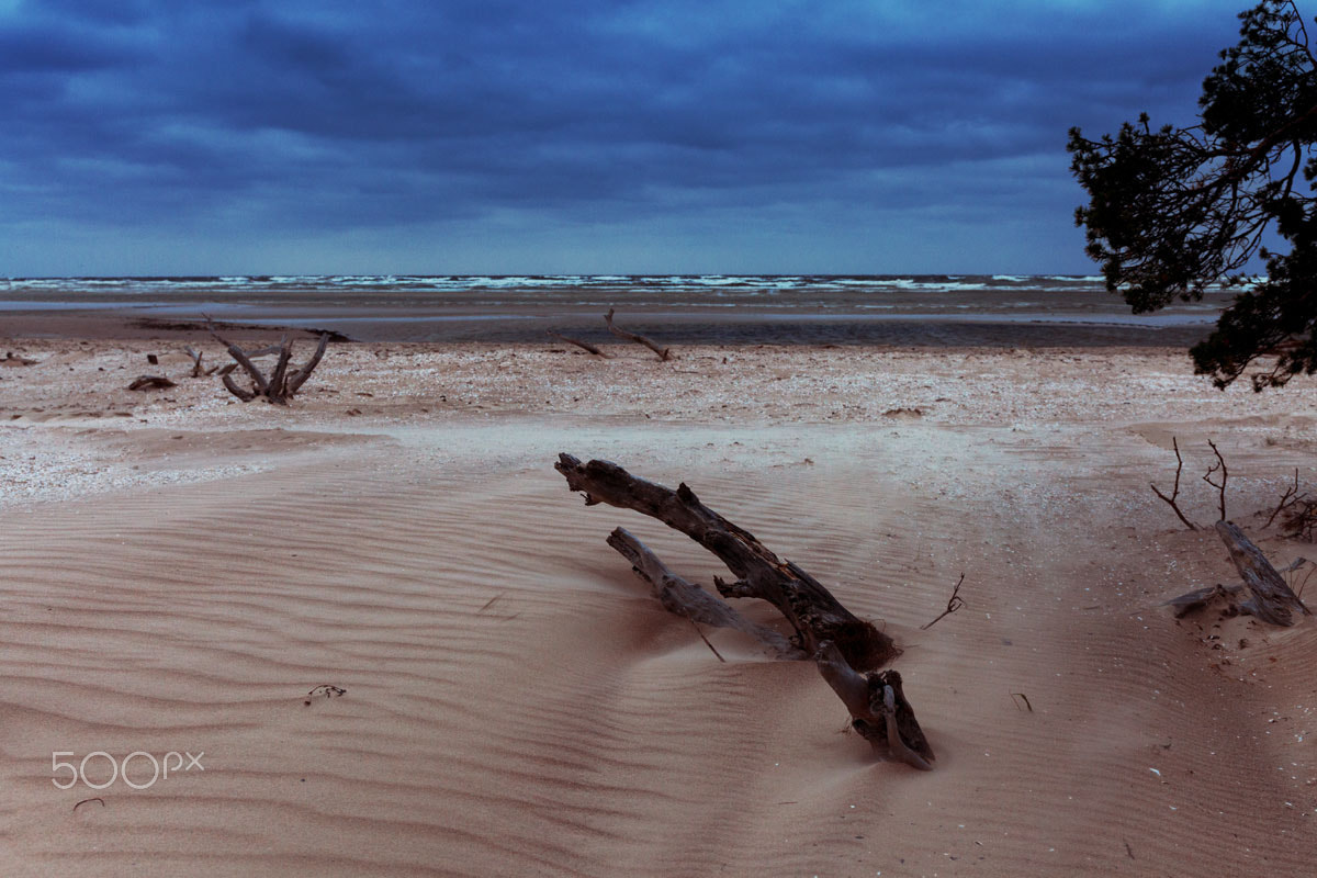Canon EOS 5D Mark II sample photo. Baltic sea photography