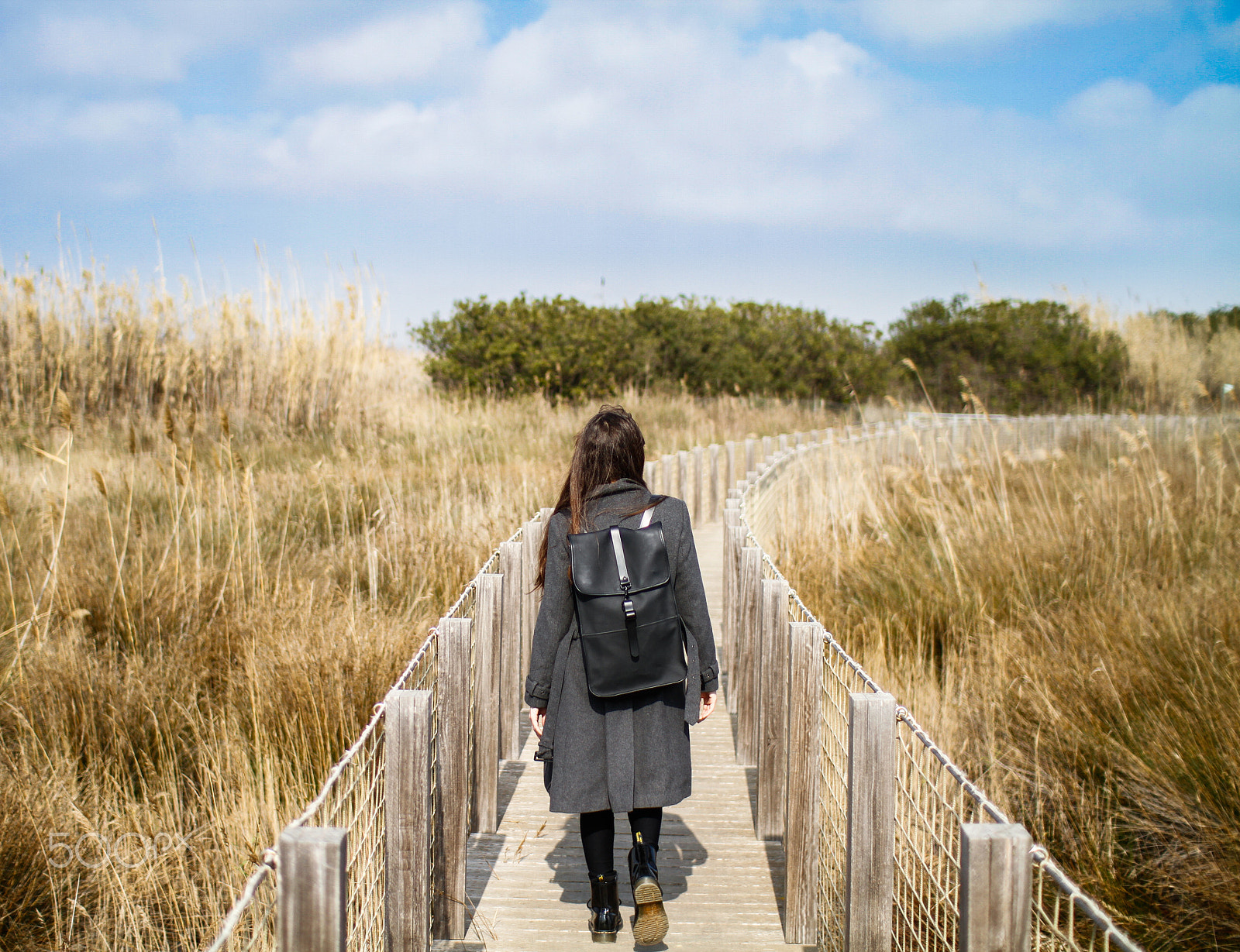 Sigma 30mm F1.4 EX DC HSM sample photo. Follow your heart. photography