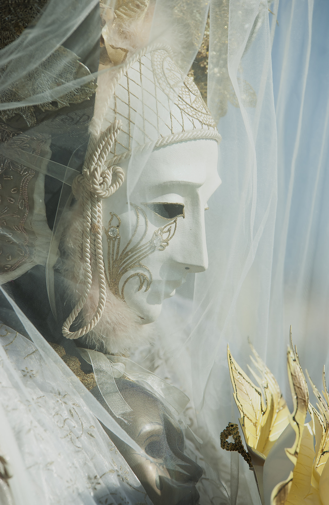 Sigma 70-200mm F2.8 EX DG OS HSM sample photo. Carnaval  a venise photography