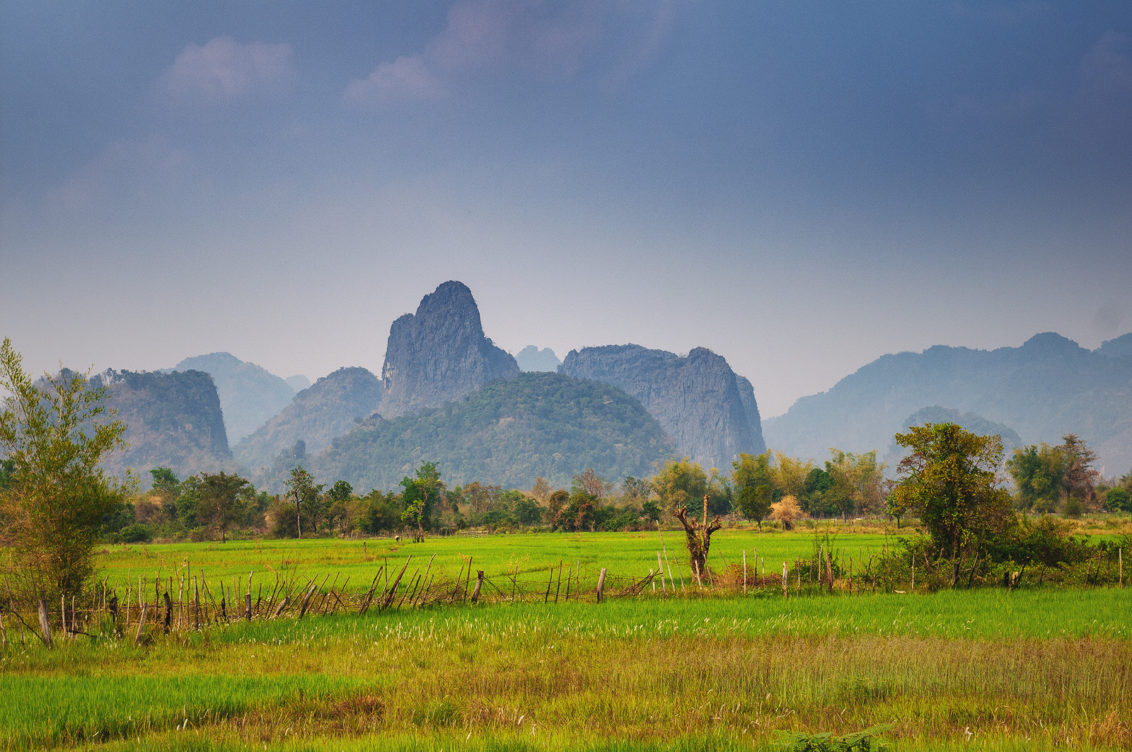 Nikon D300S sample photo. Lao photography
