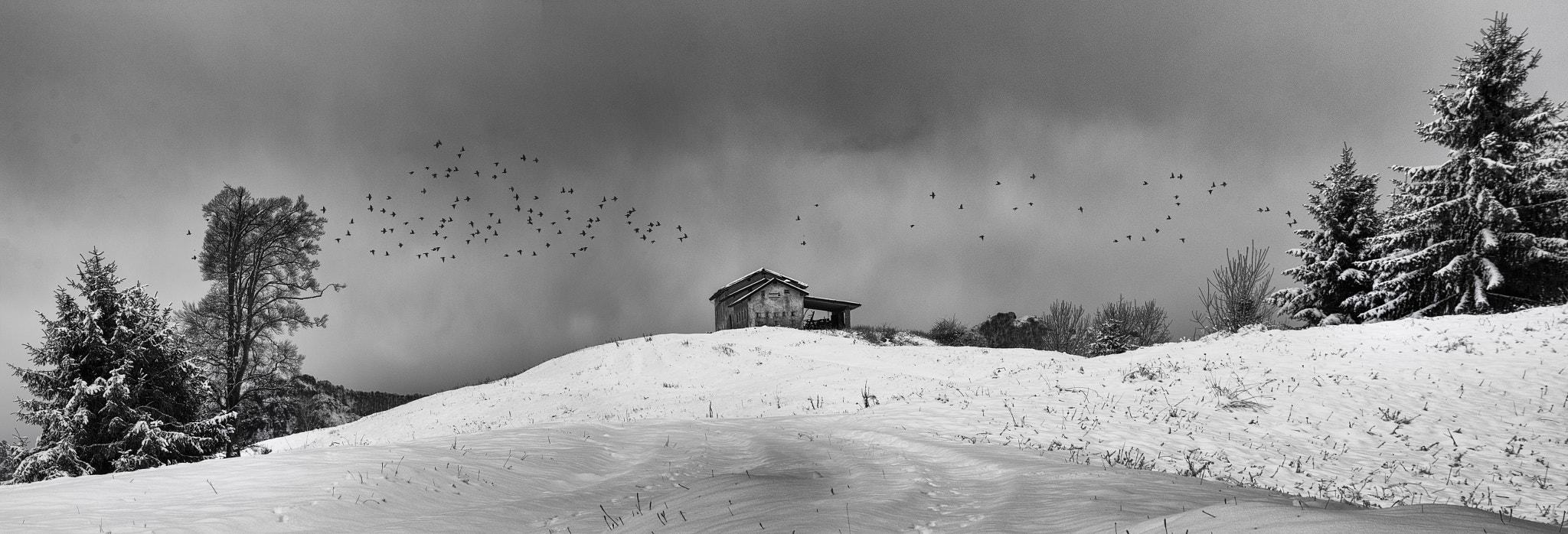 Nikon D7200 sample photo. Winter day photography