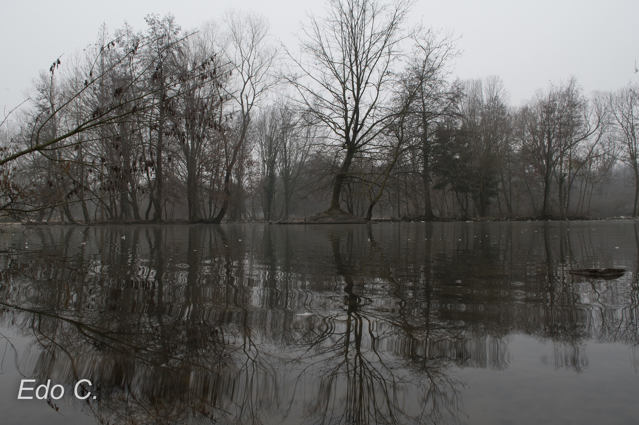Nikon D500 sample photo. Nature mirror. photography