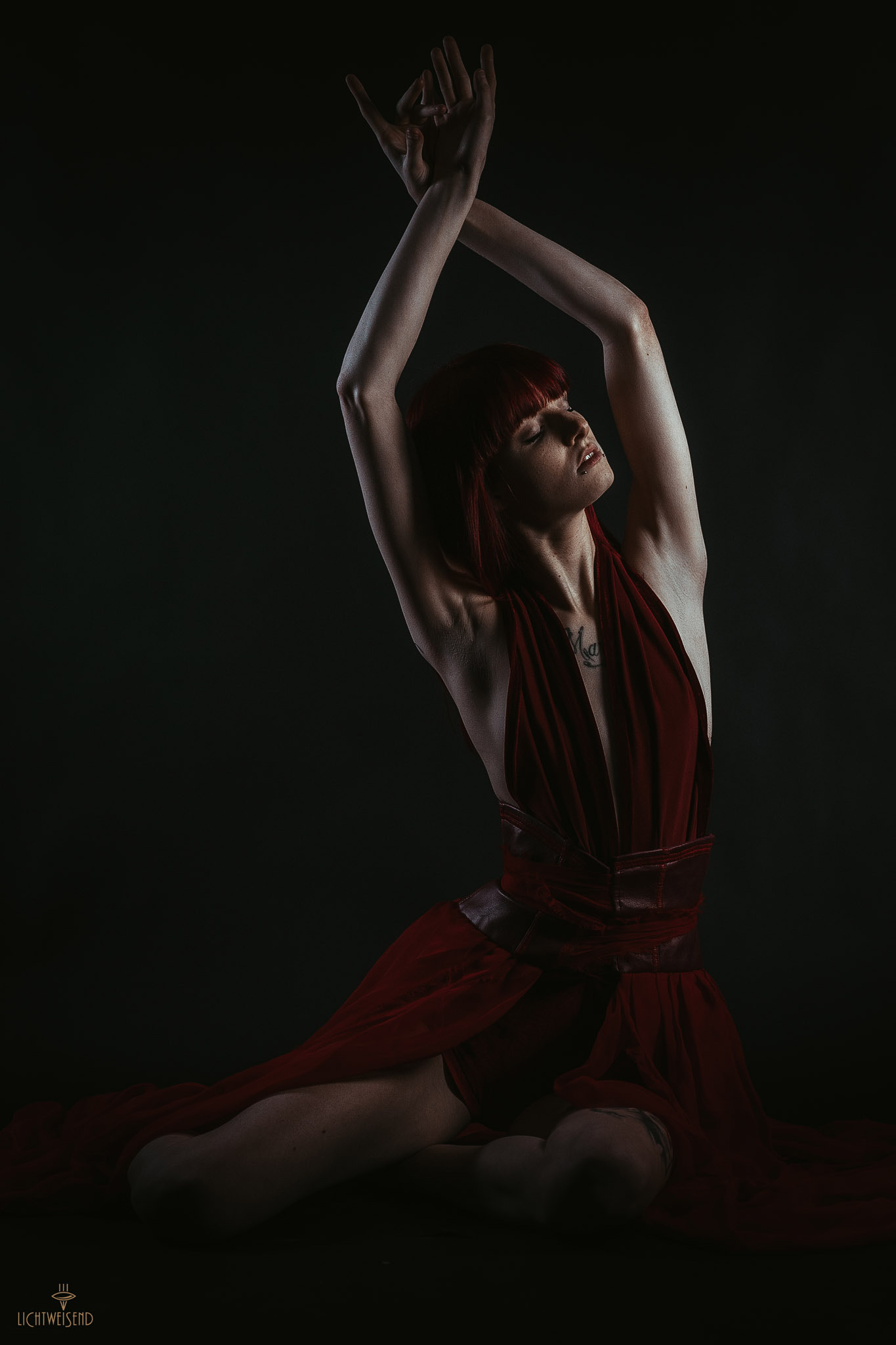 Nikon D700 + Nikon AF-S Nikkor 85mm F1.4G sample photo. Red swan photography