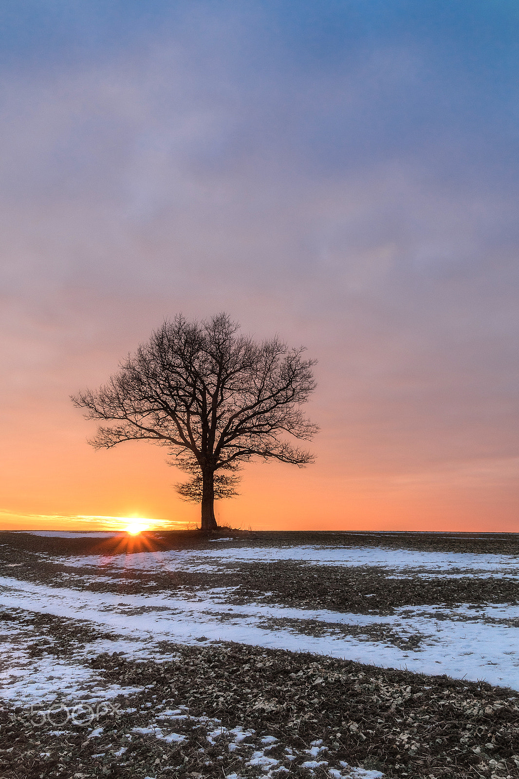 Canon EOS 7D Mark II + Sigma 18-50mm f/2.8 Macro sample photo. Vakarop photography