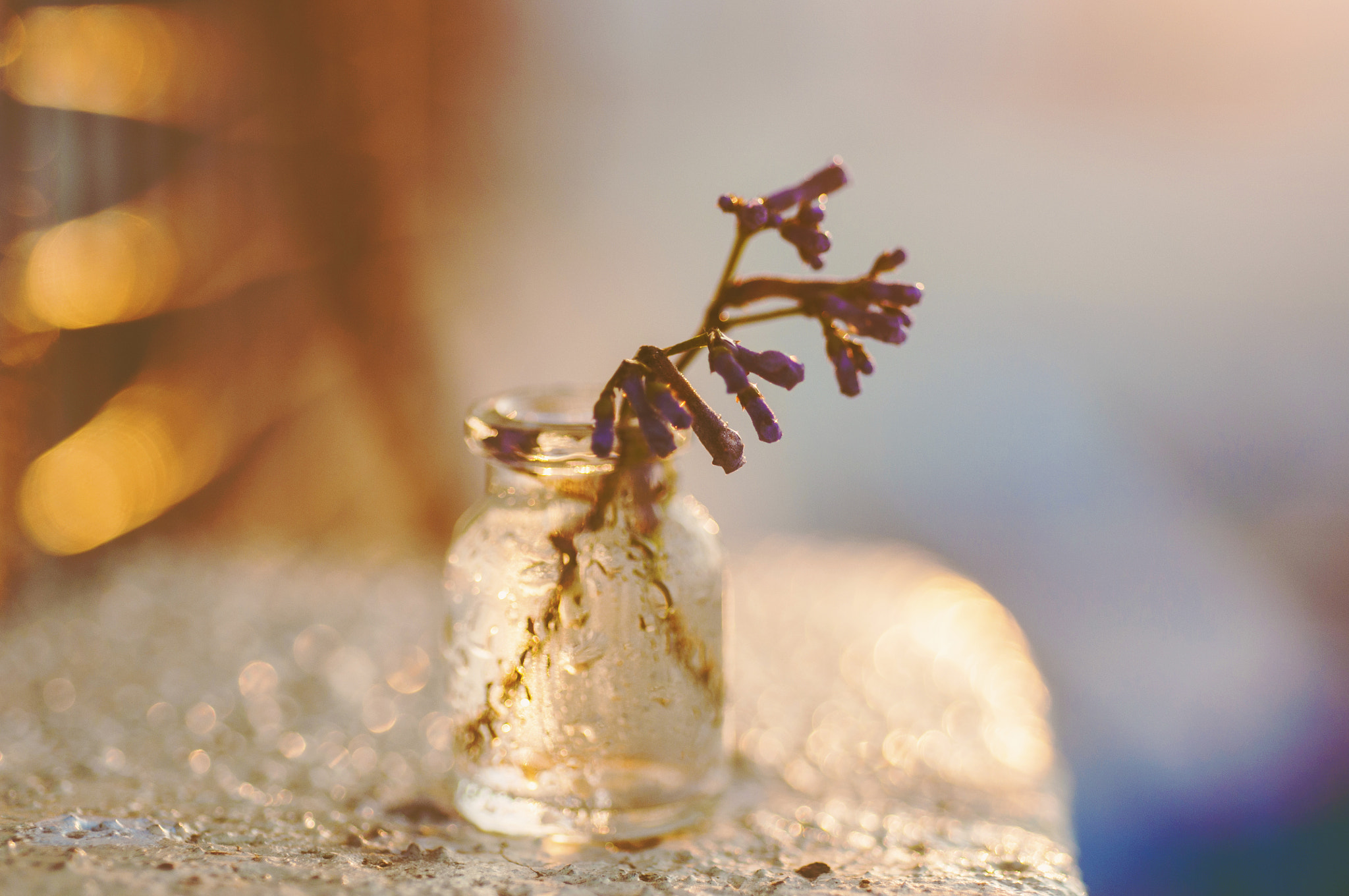 Nikon D90 sample photo. Macro fun with small message bottle photography