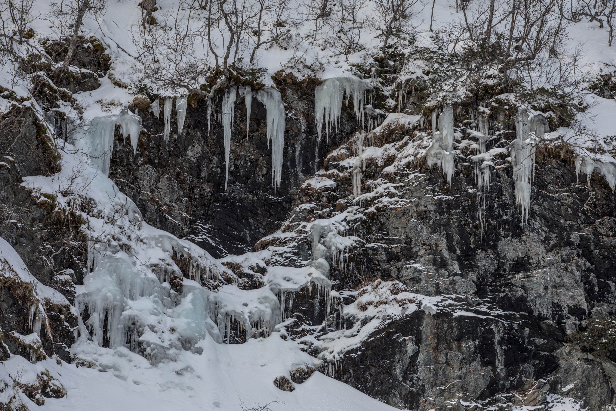 Canon EF 70-200mm F2.8L USM sample photo. Frozen photography
