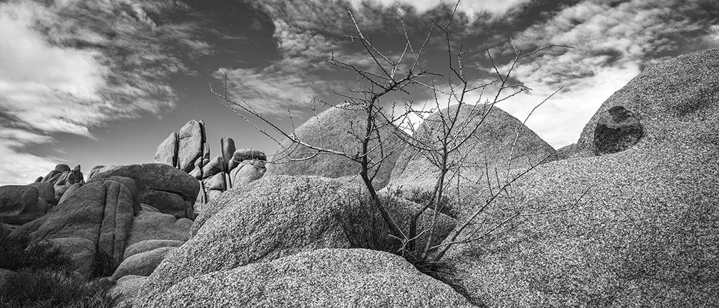 Sigma dp0 Quattro sample photo. Out of the rocks photography
