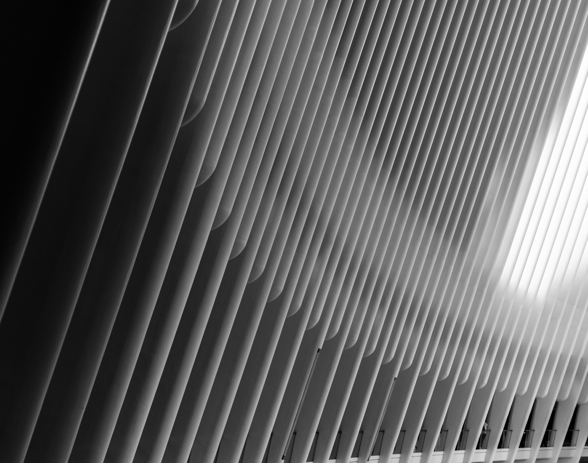 Canon EF 24-70mm F4L IS USM sample photo. Oculus wall photography