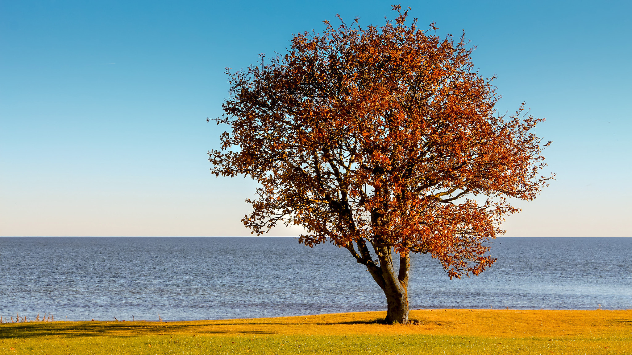 Canon EOS 650D (EOS Rebel T4i / EOS Kiss X6i) sample photo. Saaremaa photography