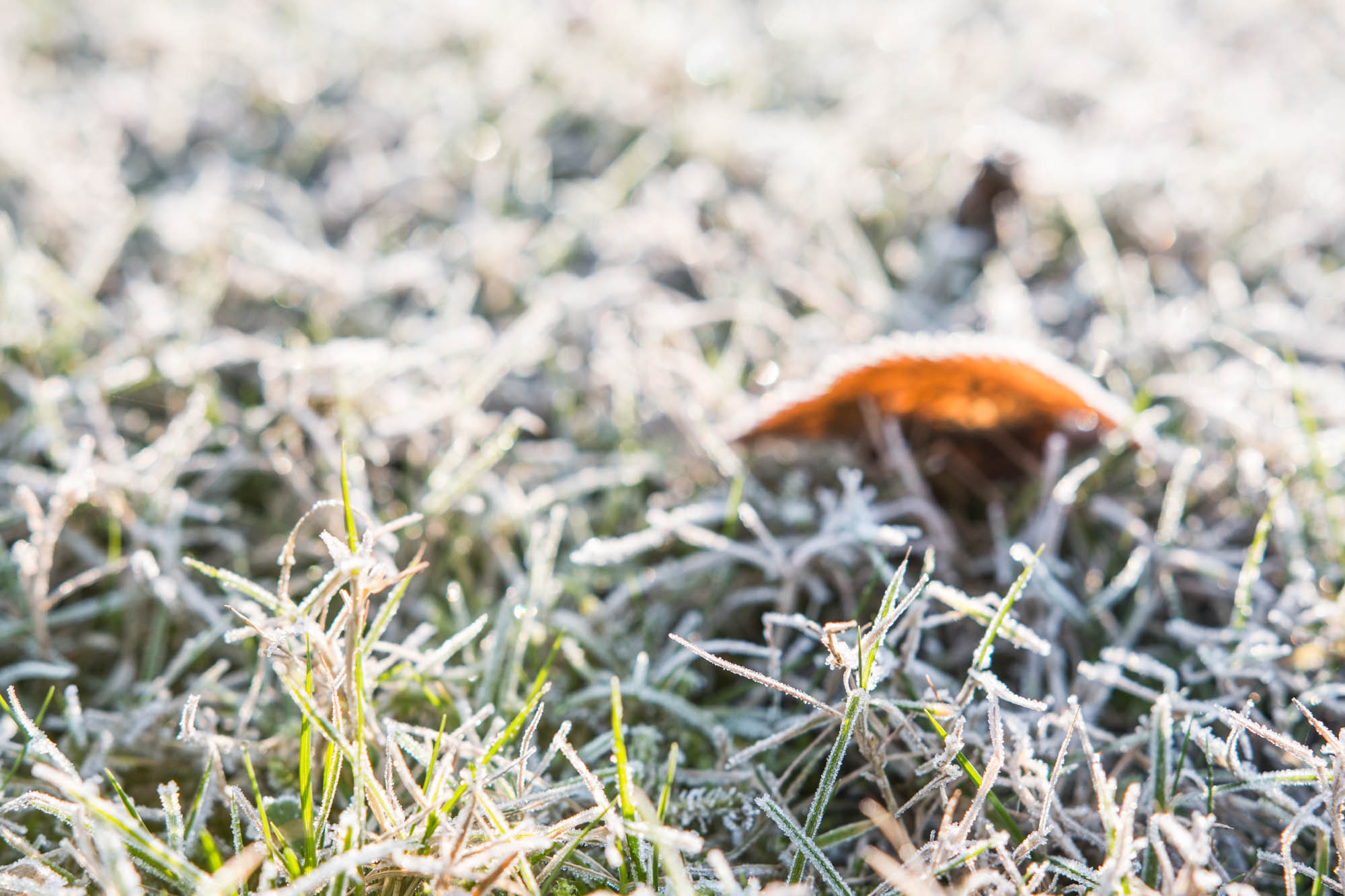 Sigma 18-35mm f/1.8 DC HSM sample photo. Nebenstedt photography
