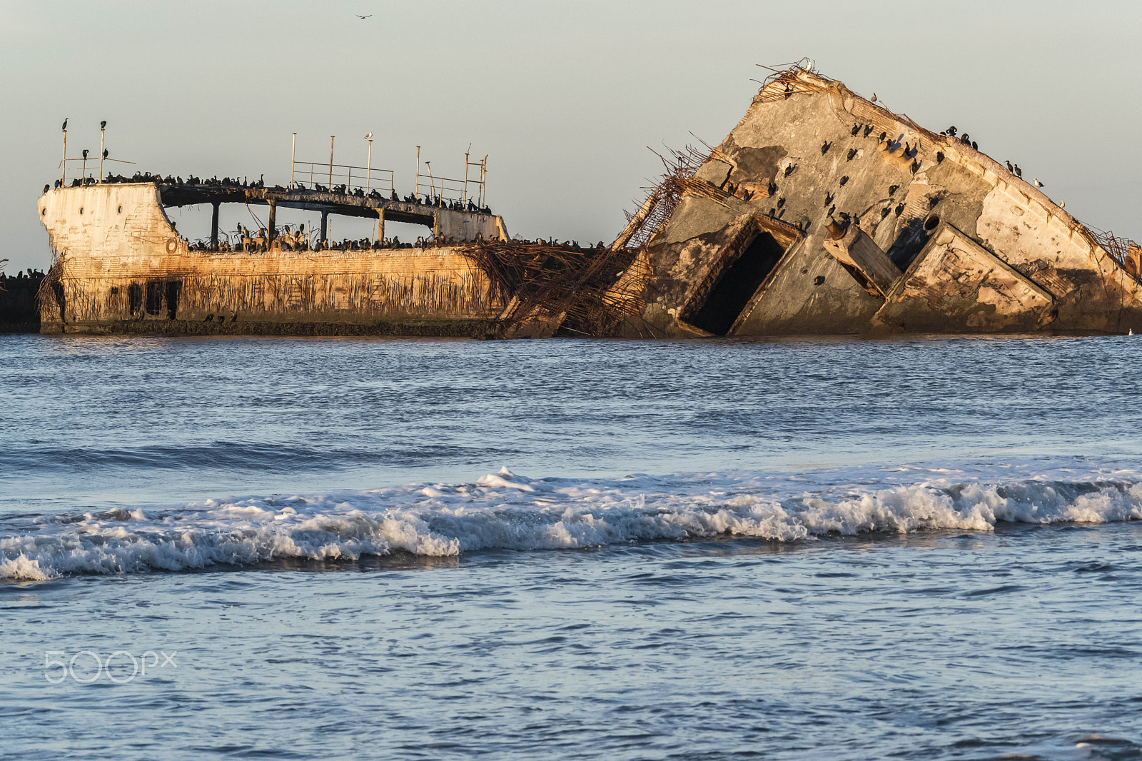 XF100-400mmF4.5-5.6 R LM OIS WR + 1.4x sample photo. Concrete ship--now a cormorant roost photography