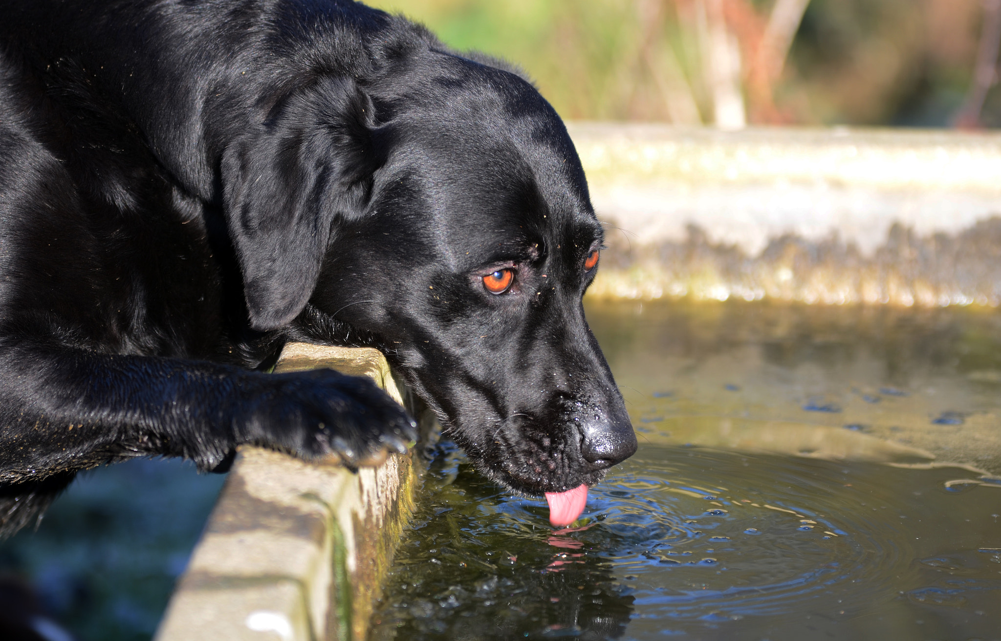 Nikon D5100 + Sigma 70-200mm F2.8 EX DG OS HSM sample photo. Tea break! photography