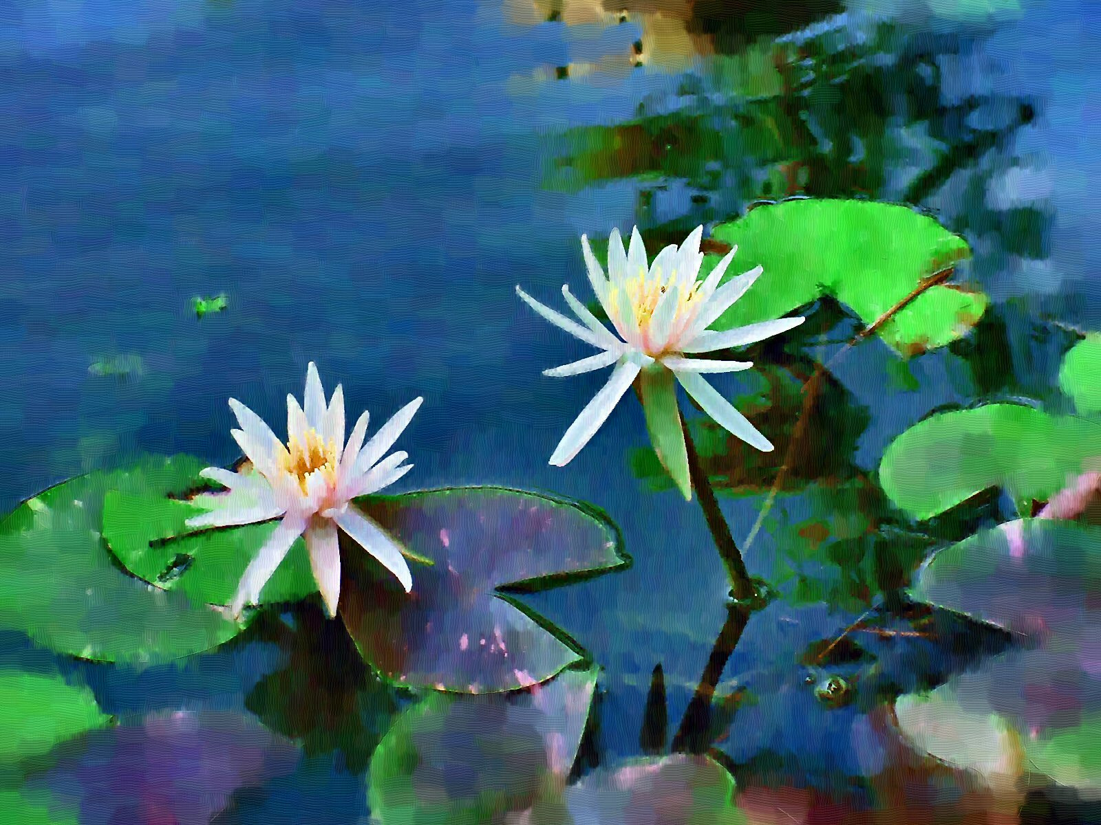 Sony MAVICA sample photo. Photo painting photography