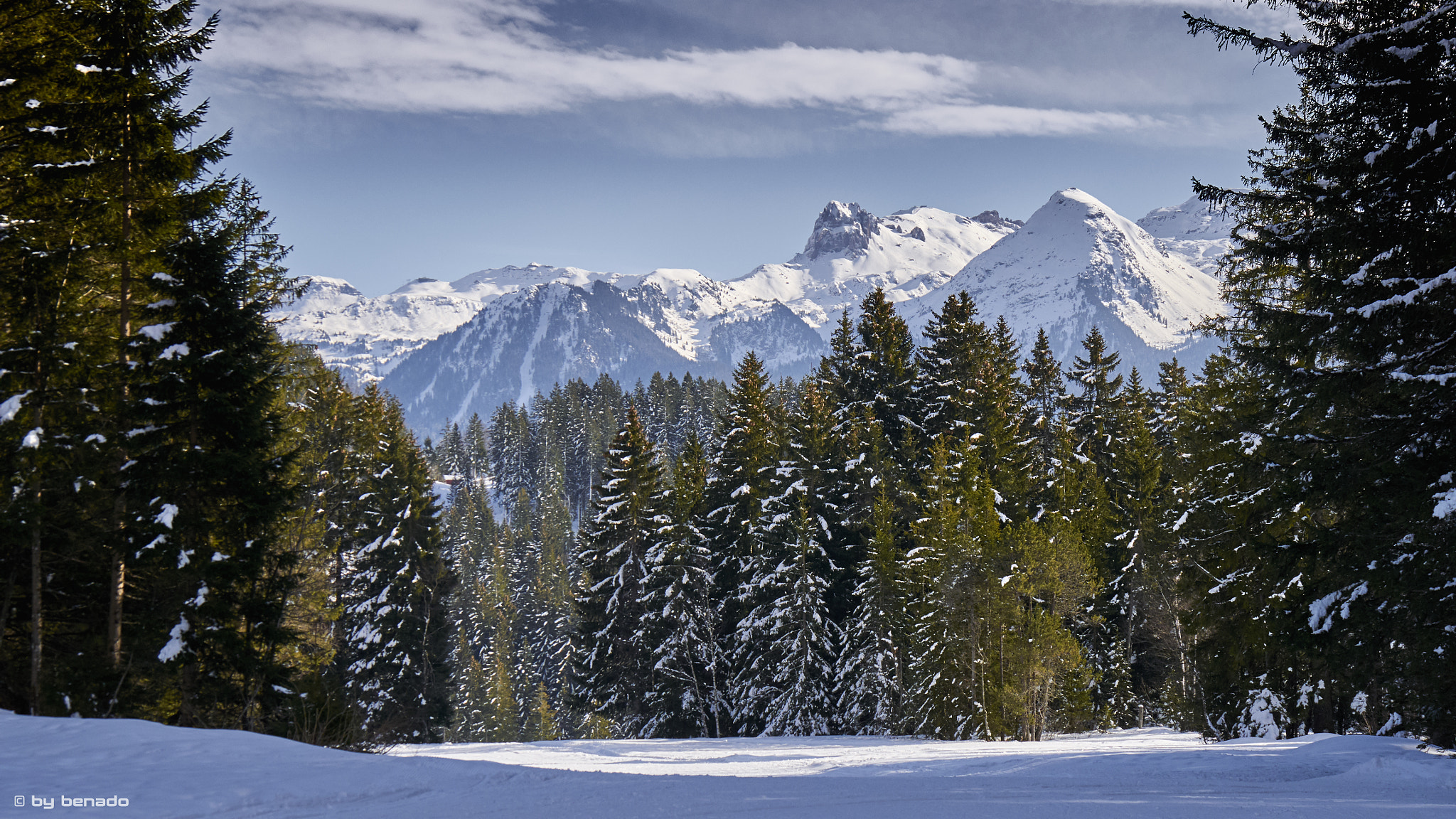 Panasonic Lumix DMC-GX7 sample photo. Sächsmoor winter i photography