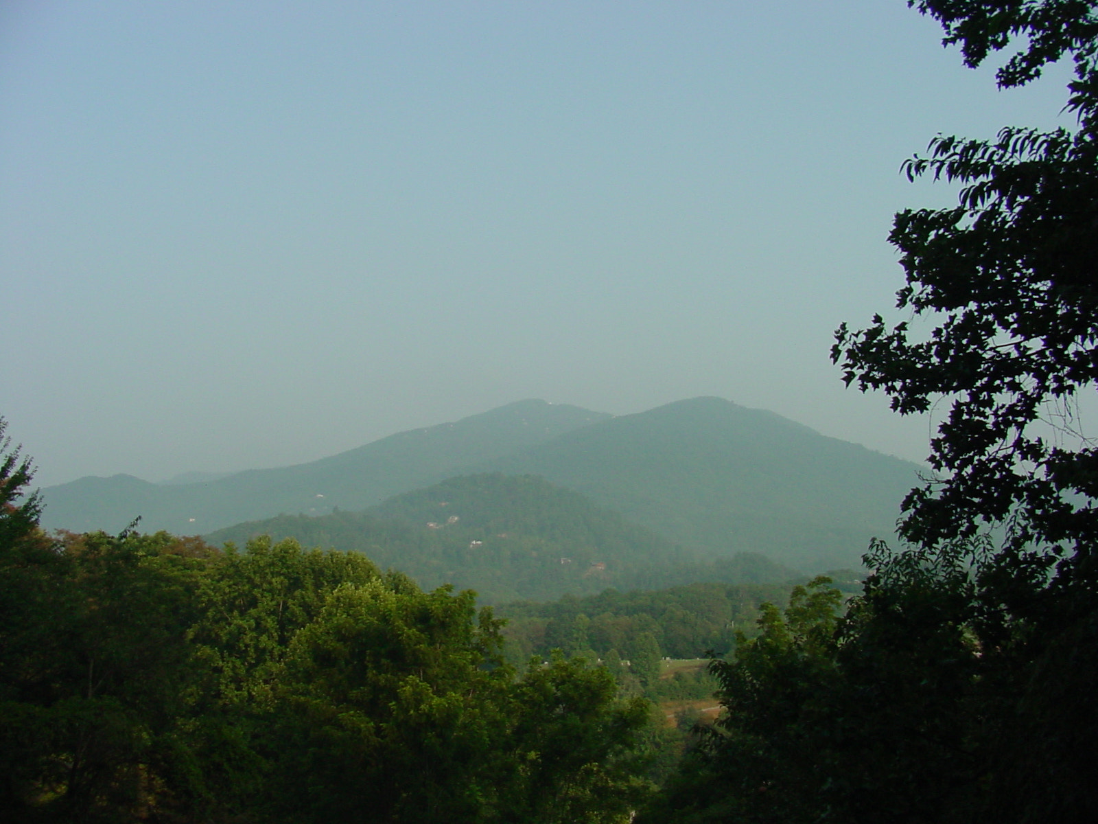 Sony MAVICA sample photo. Scr () photography