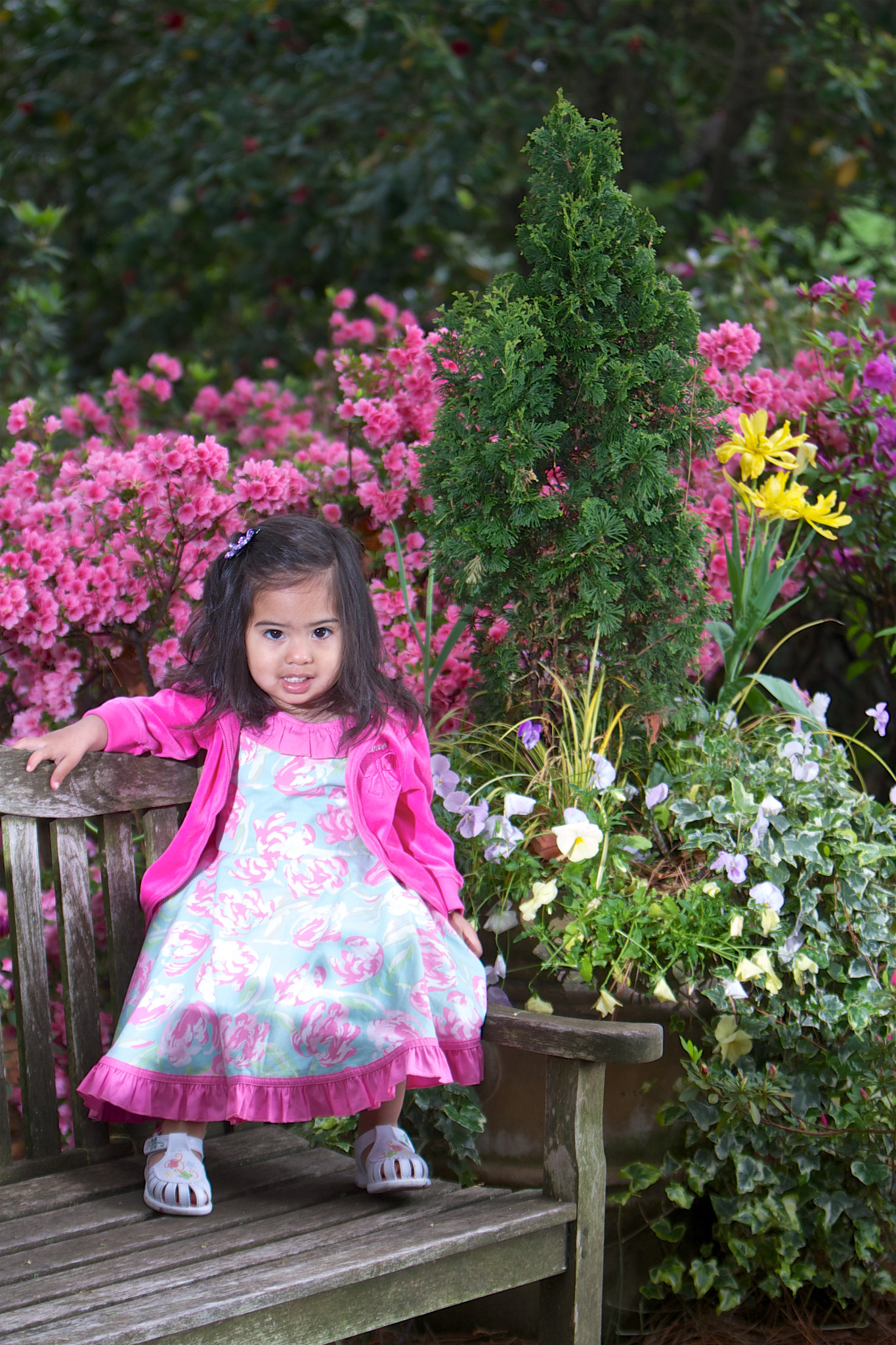 Canon EF 70-200mm F2.8L IS USM sample photo. Img photography