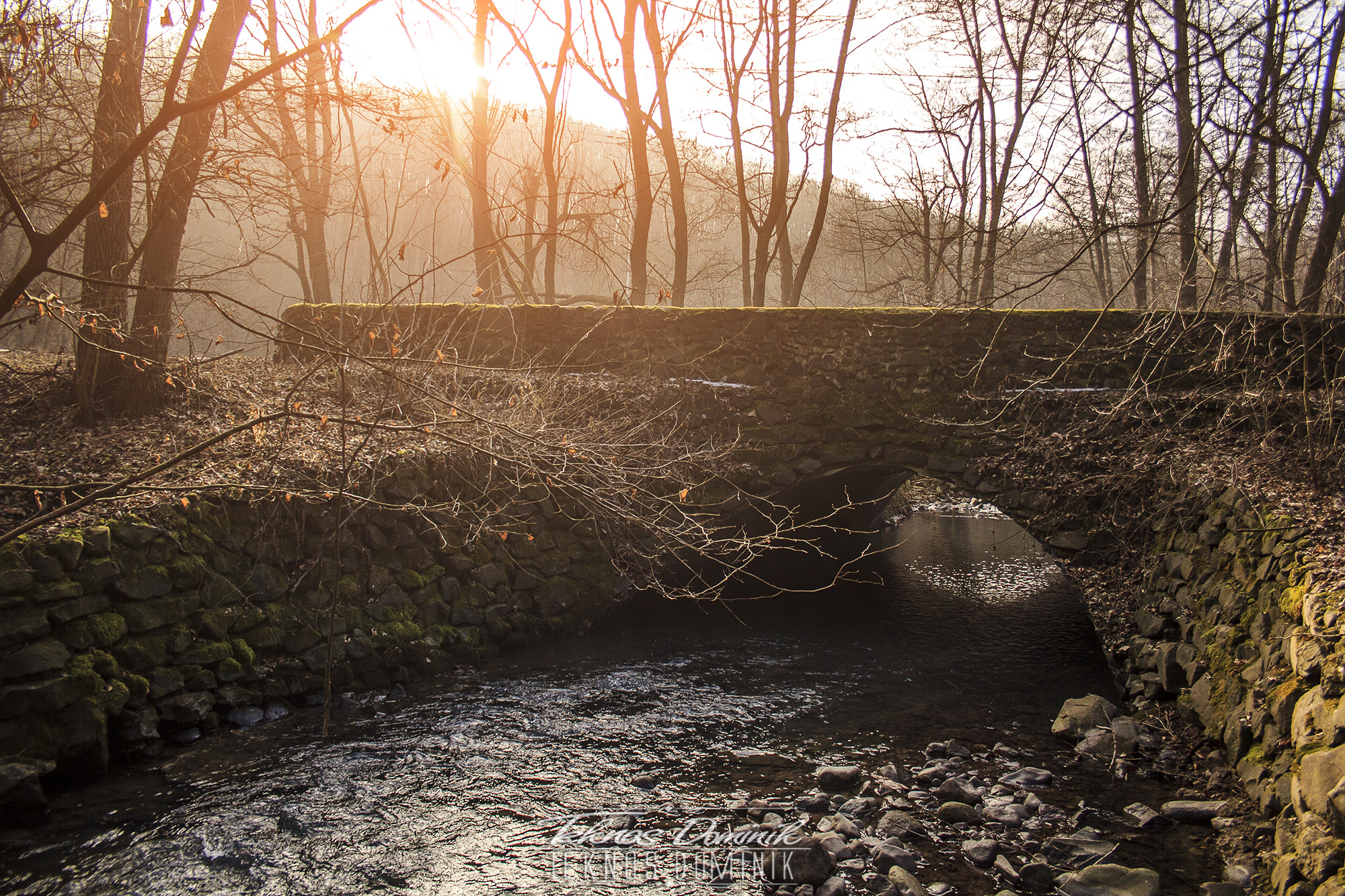 Canon EF-S 18-55mm F3.5-5.6 II sample photo. Bridge photography