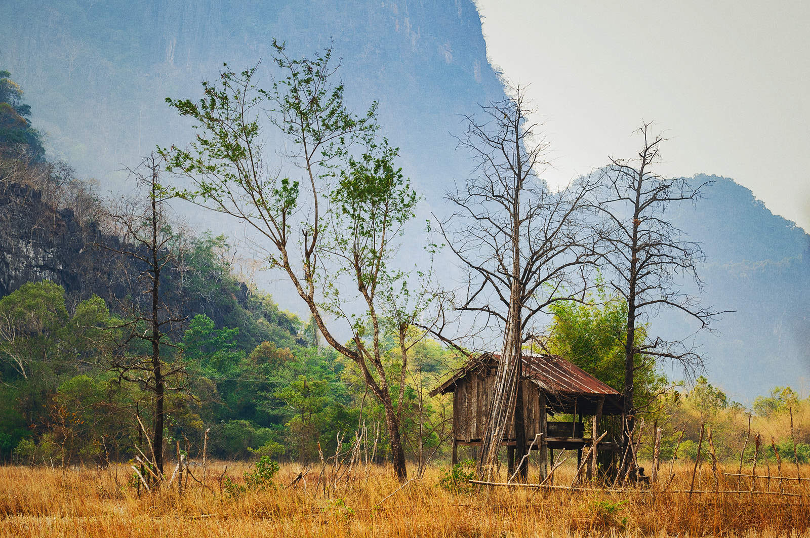 Nikon D300S sample photo. Lao photography