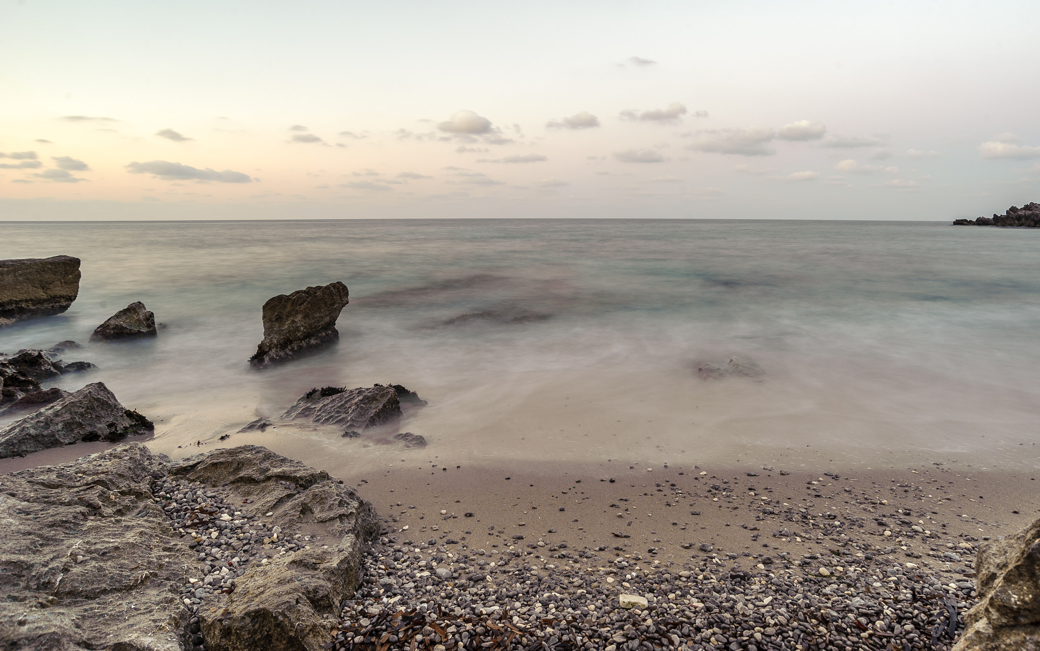 Nikon D700 sample photo. Nemo photography