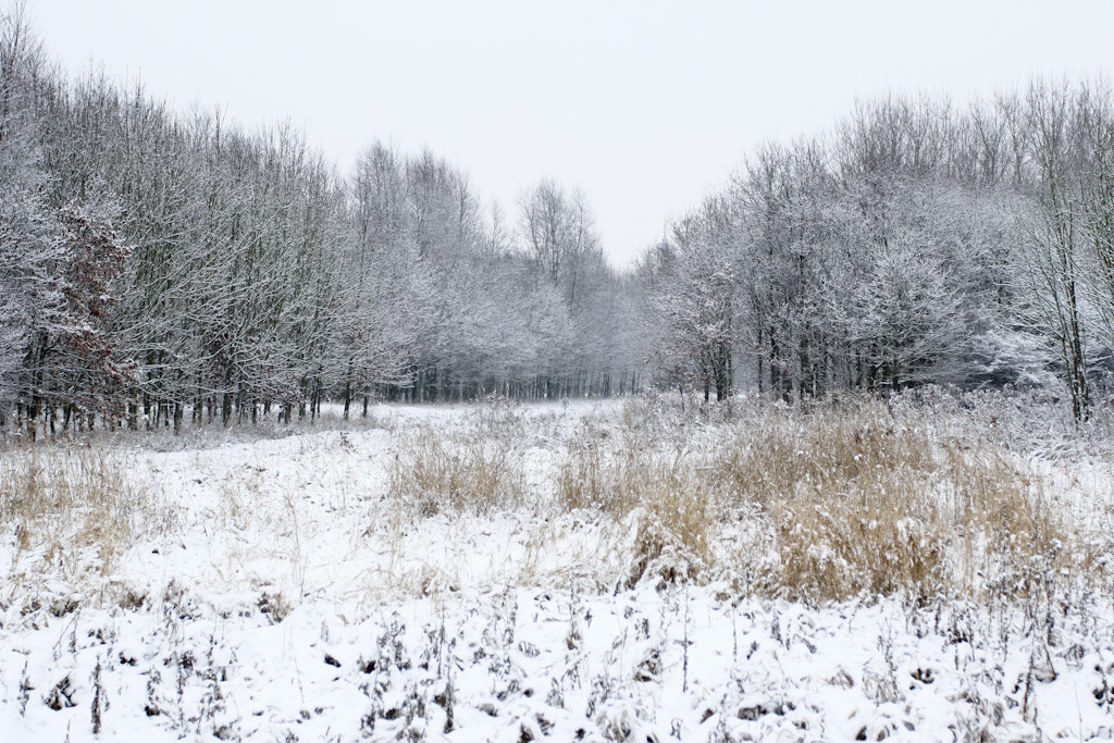 Canon EOS 60D sample photo. Snow in holland, photography