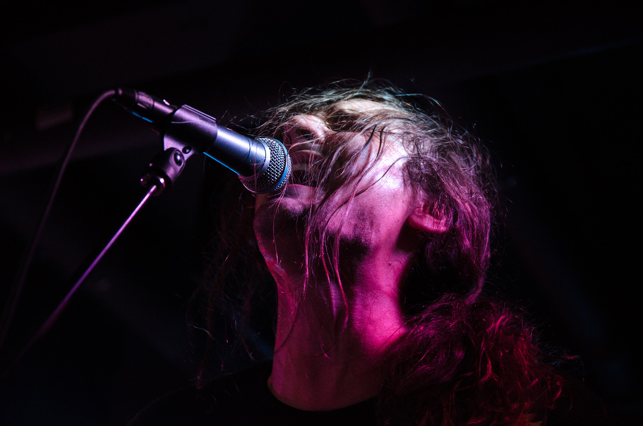 Sigma 17-50mm F2.8 EX DC OS HSM sample photo. Futurebirds 2016 photography