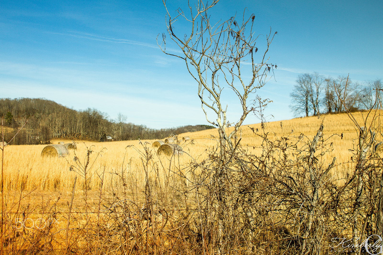 Canon EOS 7D + Sigma 24-70mm F2.8 EX DG Macro sample photo. Ohio photography