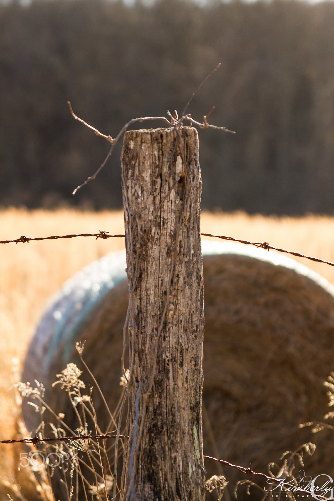 Canon EOS 7D + Sigma 24-70mm F2.8 EX DG Macro sample photo. Country roads photography
