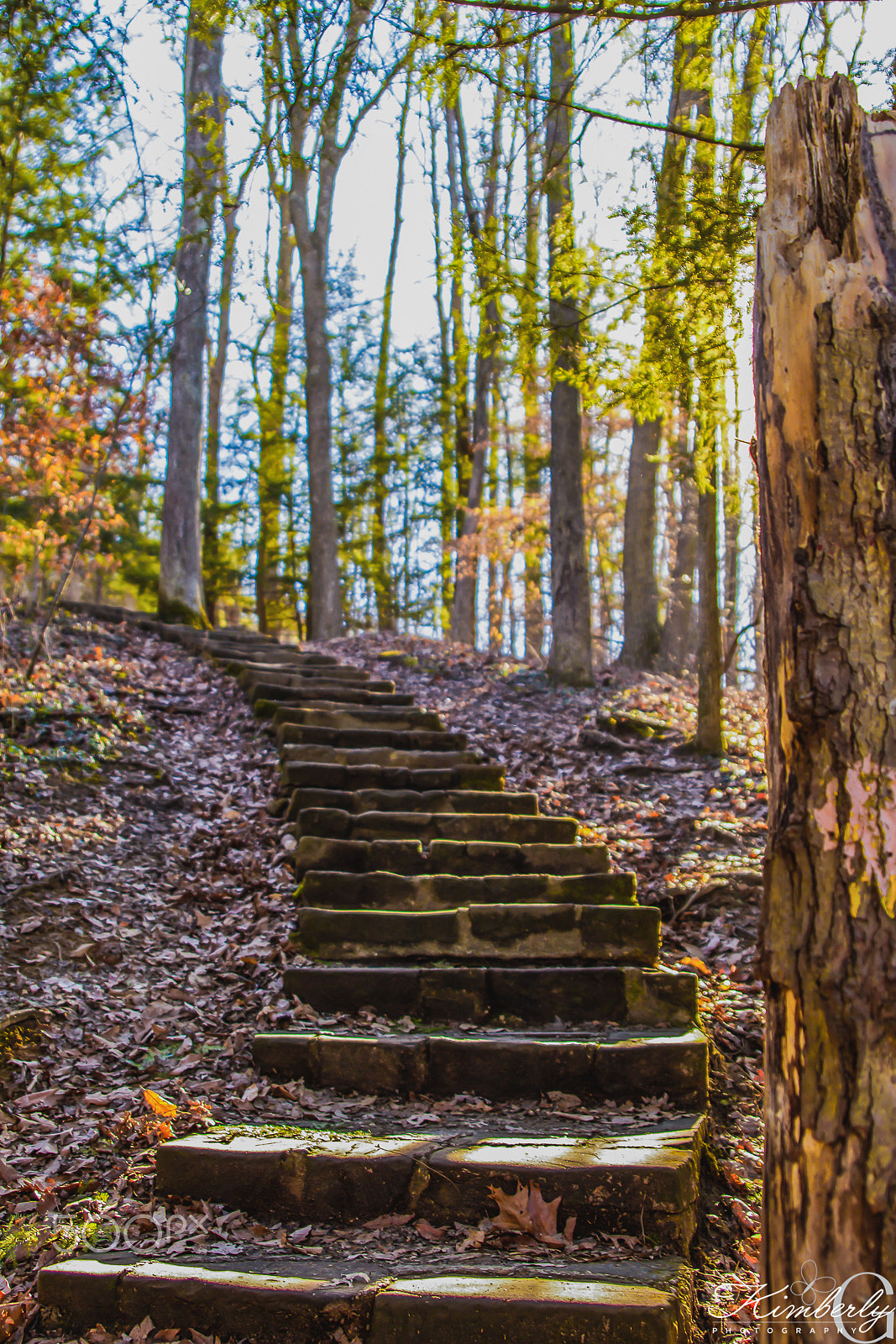 Canon EOS 7D sample photo. Hocking hills ohio photography