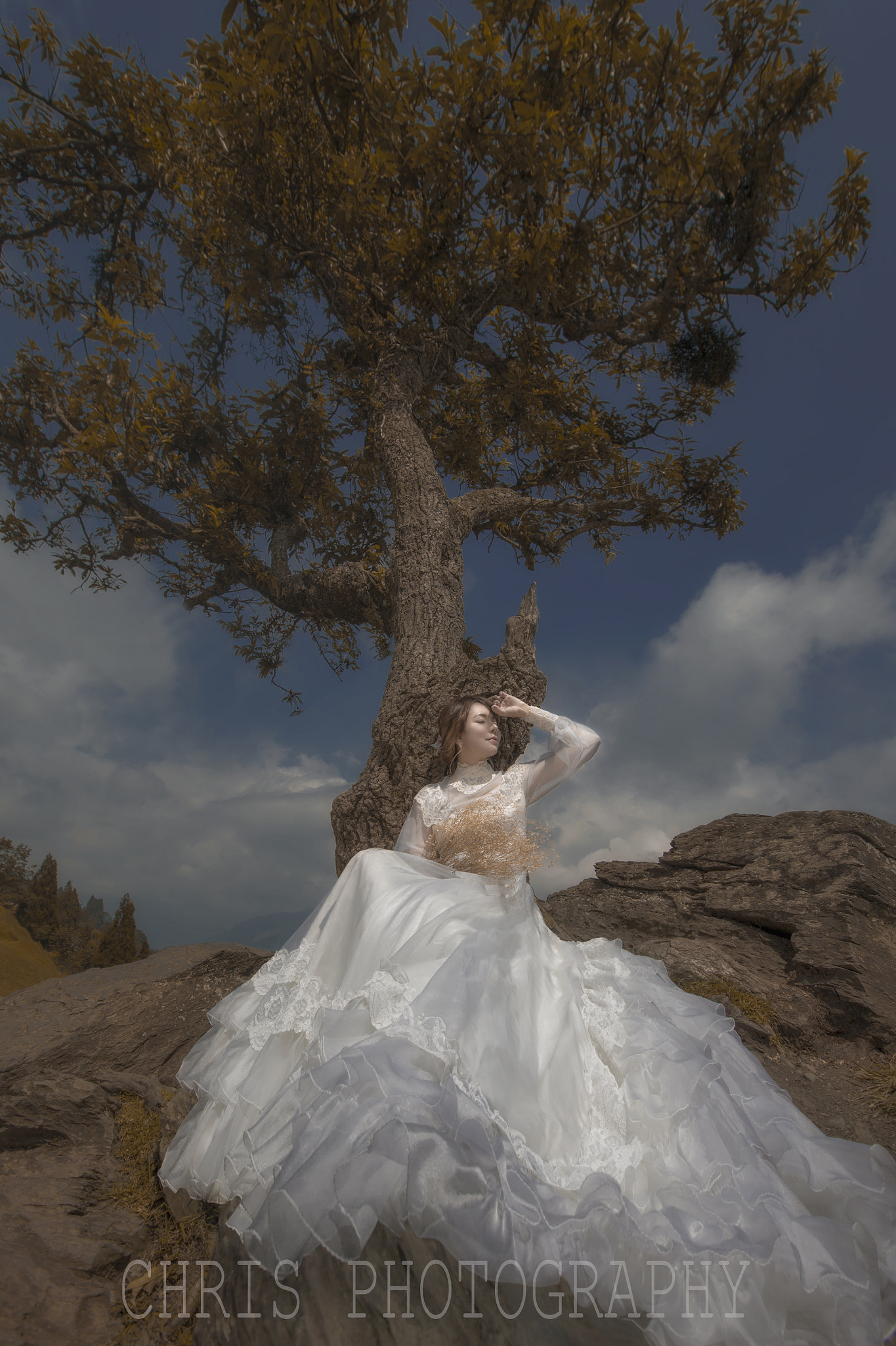 Canon EF 16-35mm F2.8L II USM sample photo. Bridal photography