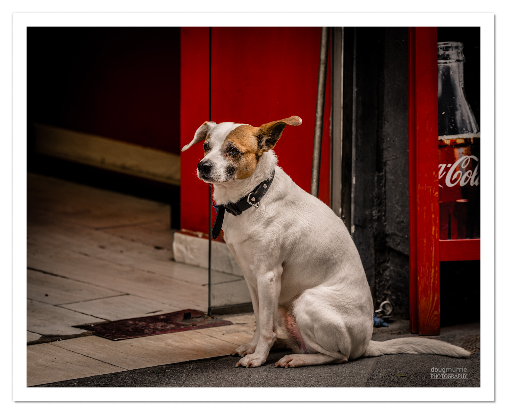 Nikon D810 + Sigma 18-200mm F3.5-6.3 DC OS HSM sample photo. Old boy #1 photography