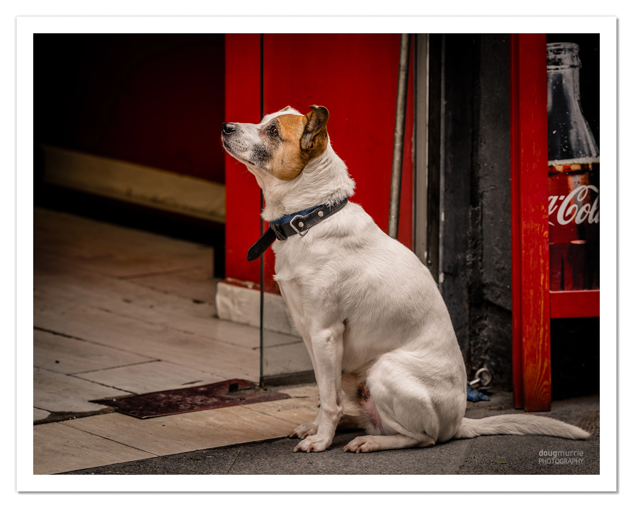 Nikon D810 + Sigma 18-200mm F3.5-6.3 DC OS HSM sample photo. Old boy #2 photography