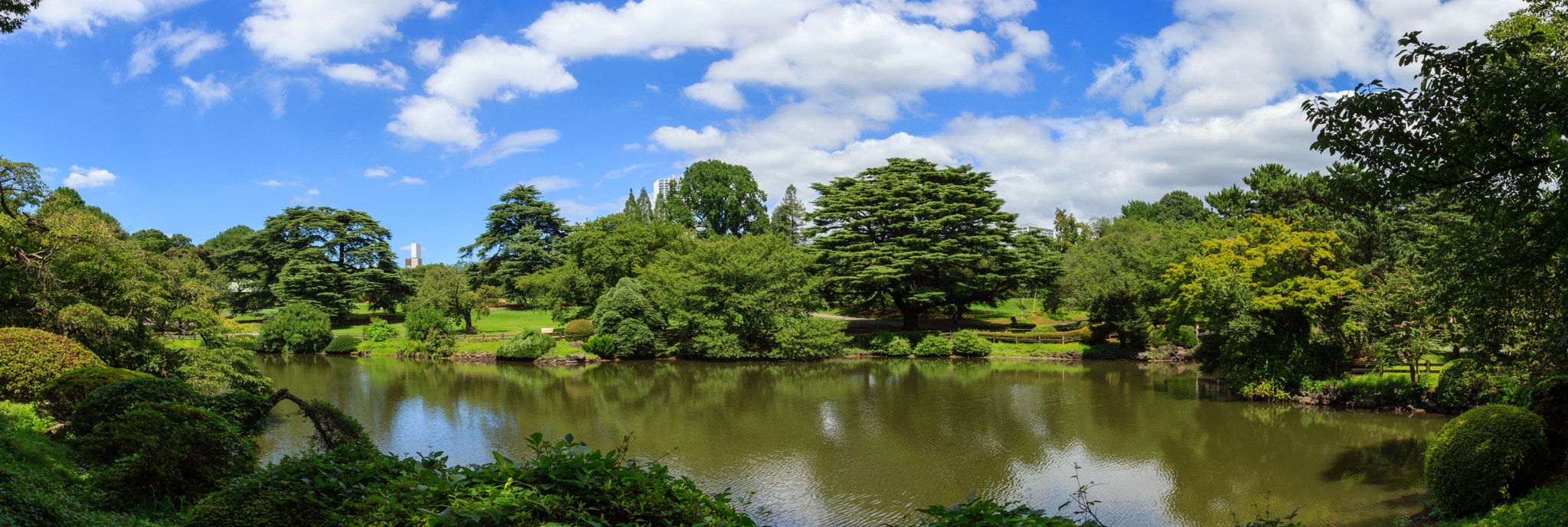 Canon EF 16-35mm F2.8L II USM sample photo. Nakano-ike photography