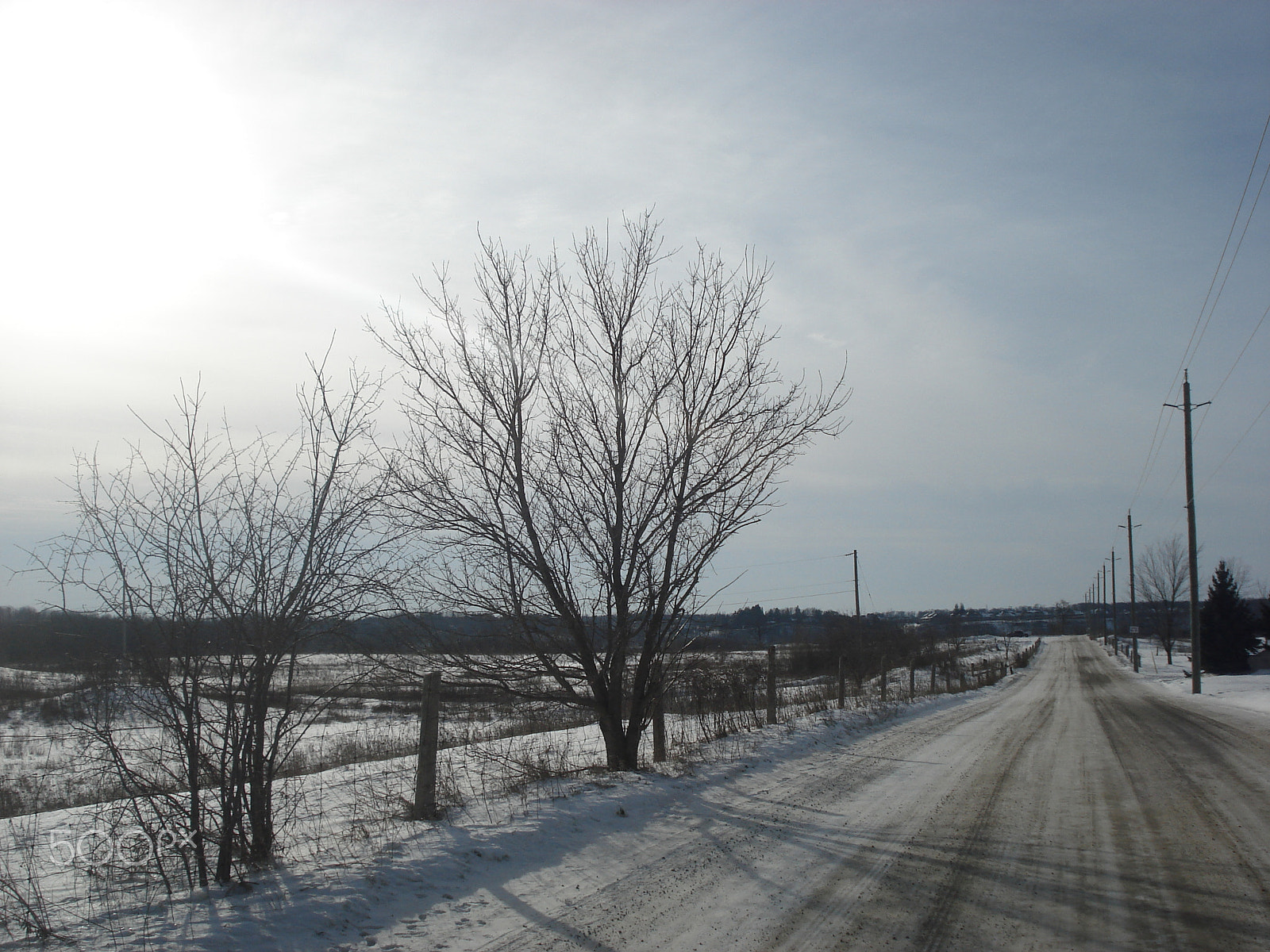 Sony DSC-W30 sample photo. Empty snowy road with bare trees on winter day photography