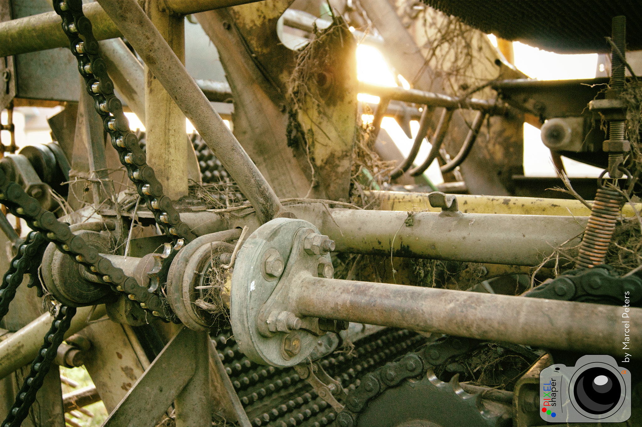 Sony Alpha DSLR-A350 sample photo. Some agricultural stuff photography