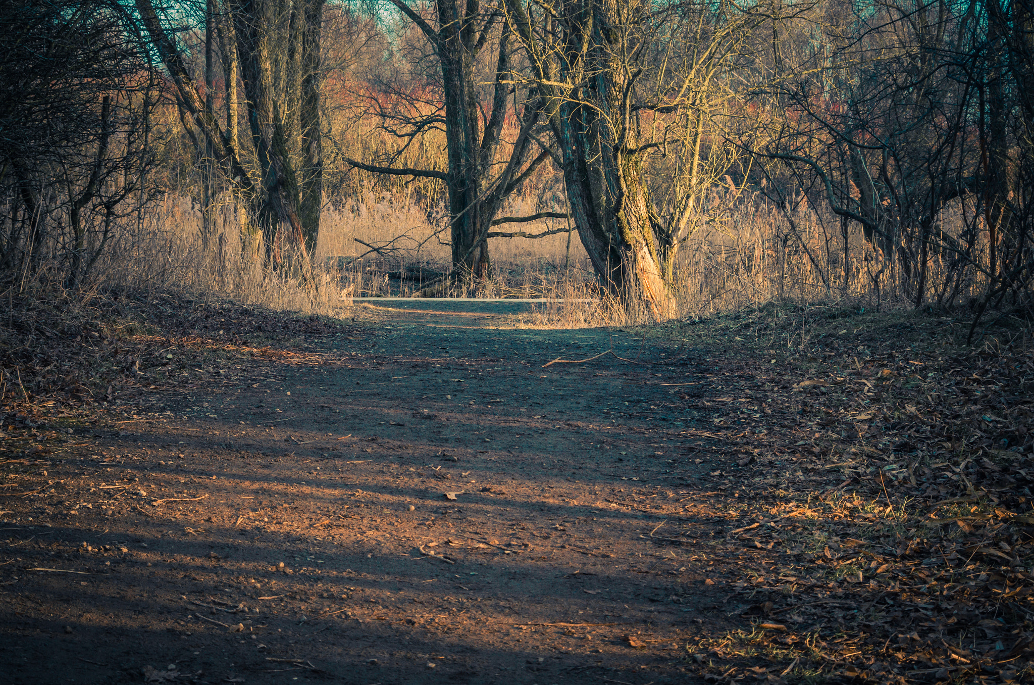 Pentax K-50 sample photo. Relaxing walk photography