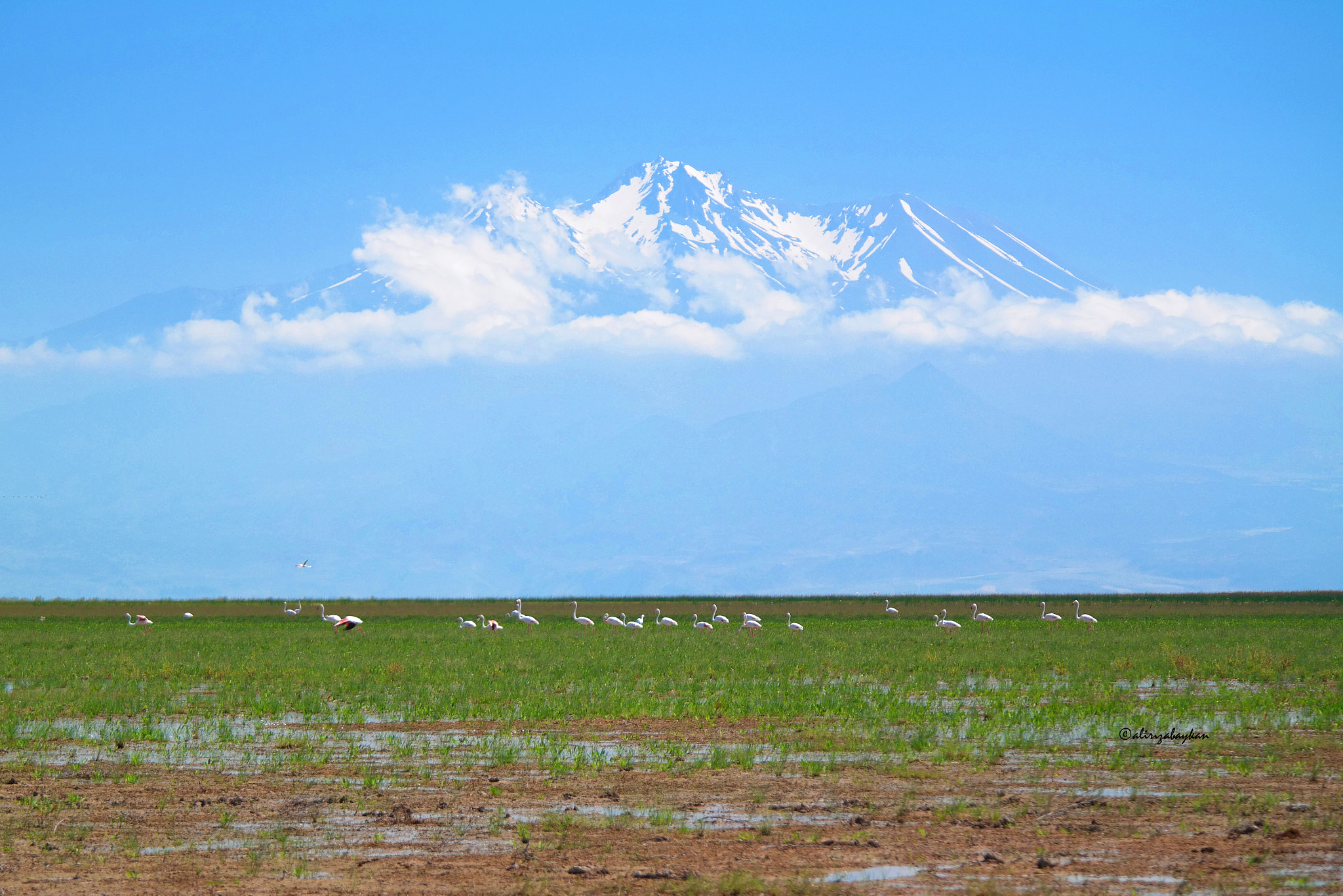 Samsung NX30 + NX 50-200mm F4-5.6 sample photo. Sultan marshes nationalpark photography