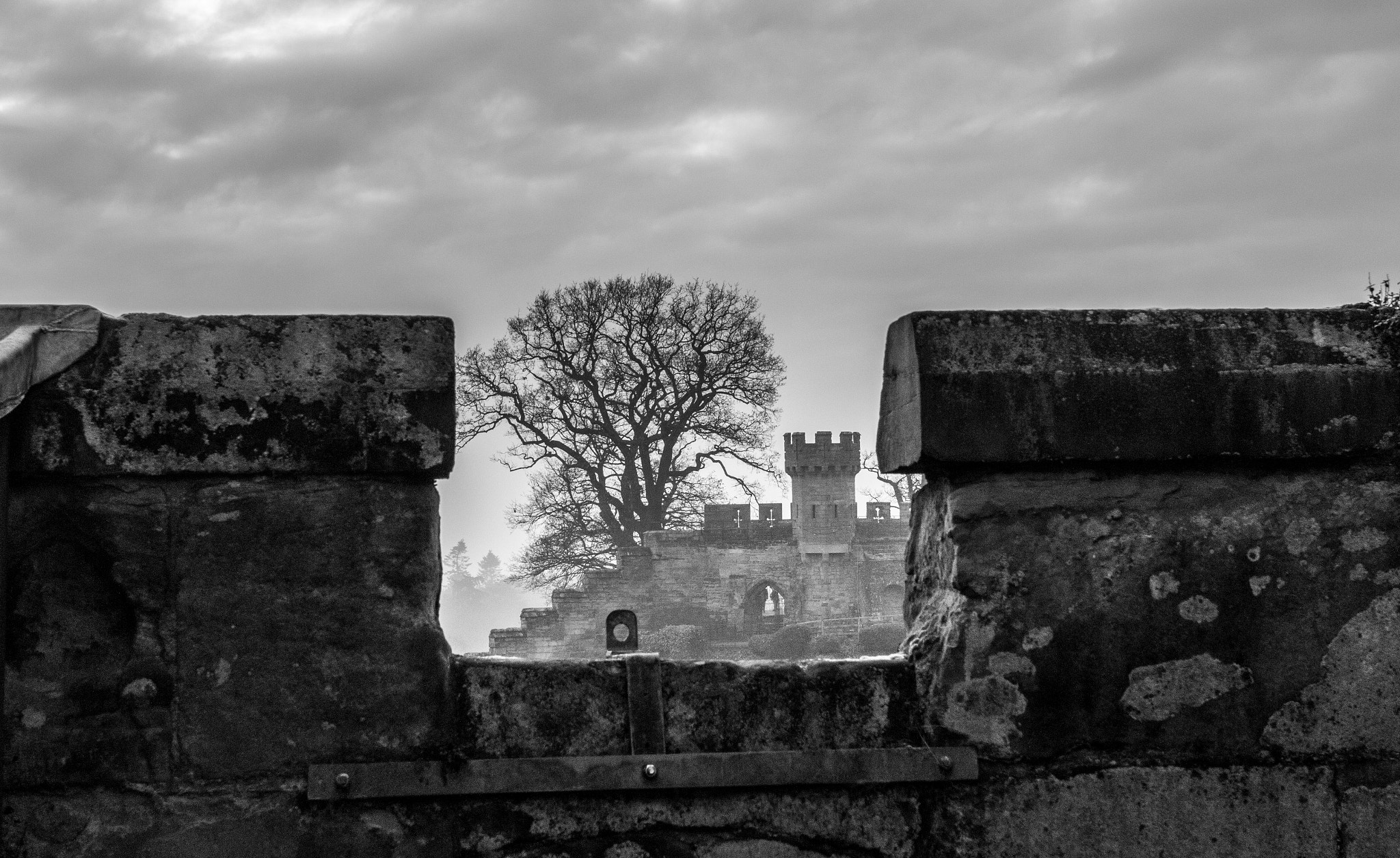 Canon EOS 70D + Canon EF 17-40mm F4L USM sample photo. Warwick catle photography