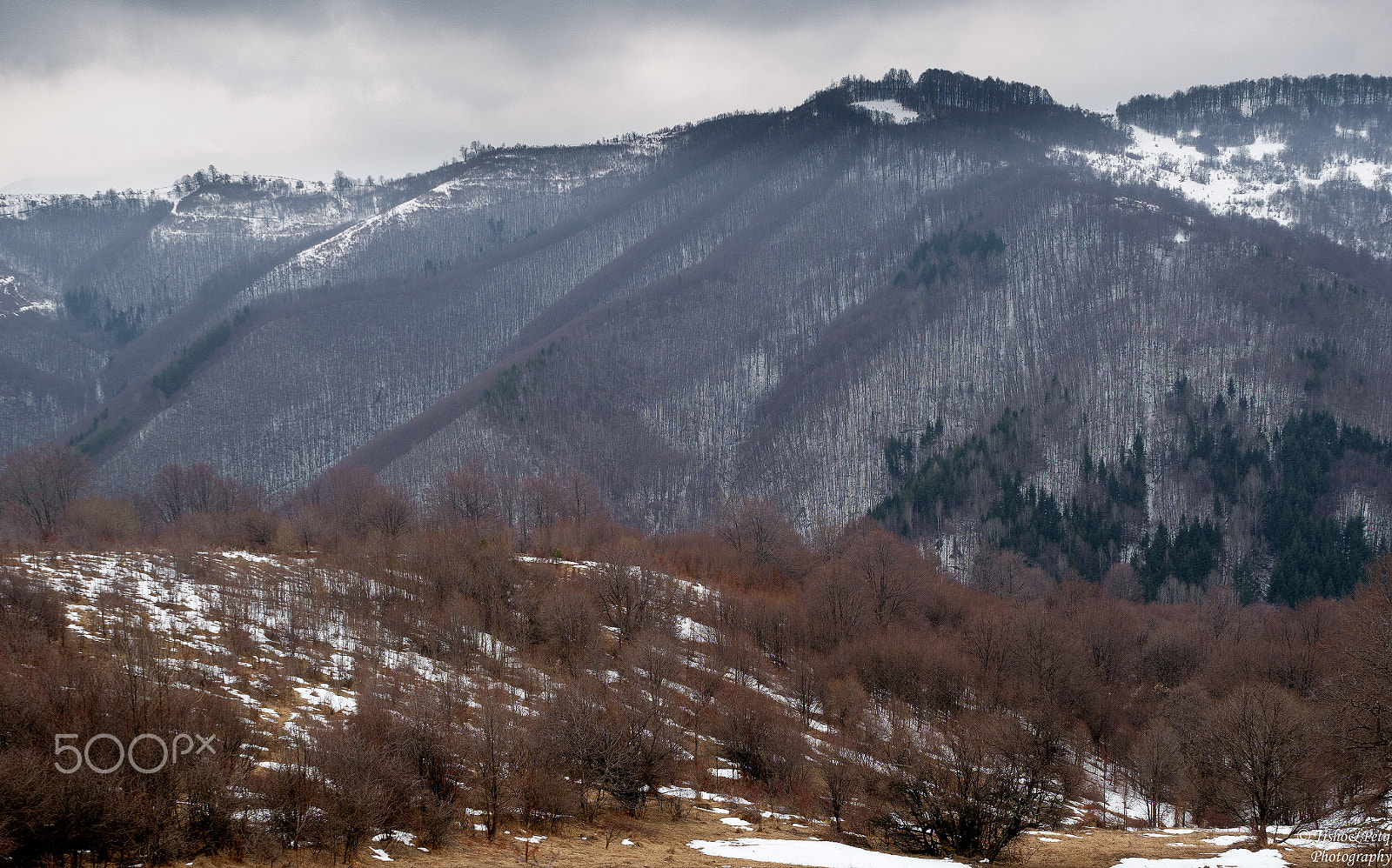 Panasonic Lumix DMC-G85 (Lumix DMC-G80) sample photo. Central balkan 4 photography