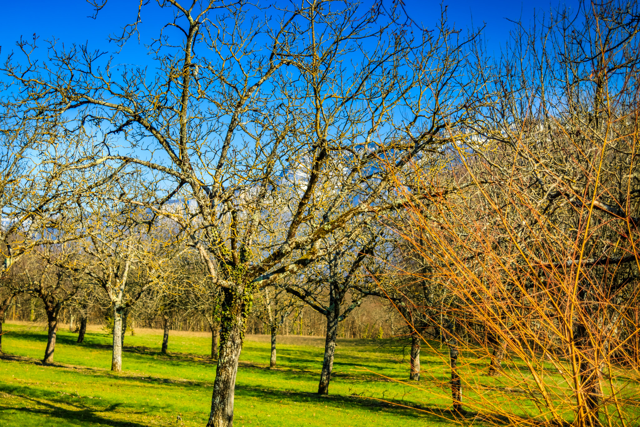 Canon EF 24-85mm F3.5-4.5 USM sample photo. Vinay (isère - france) photography