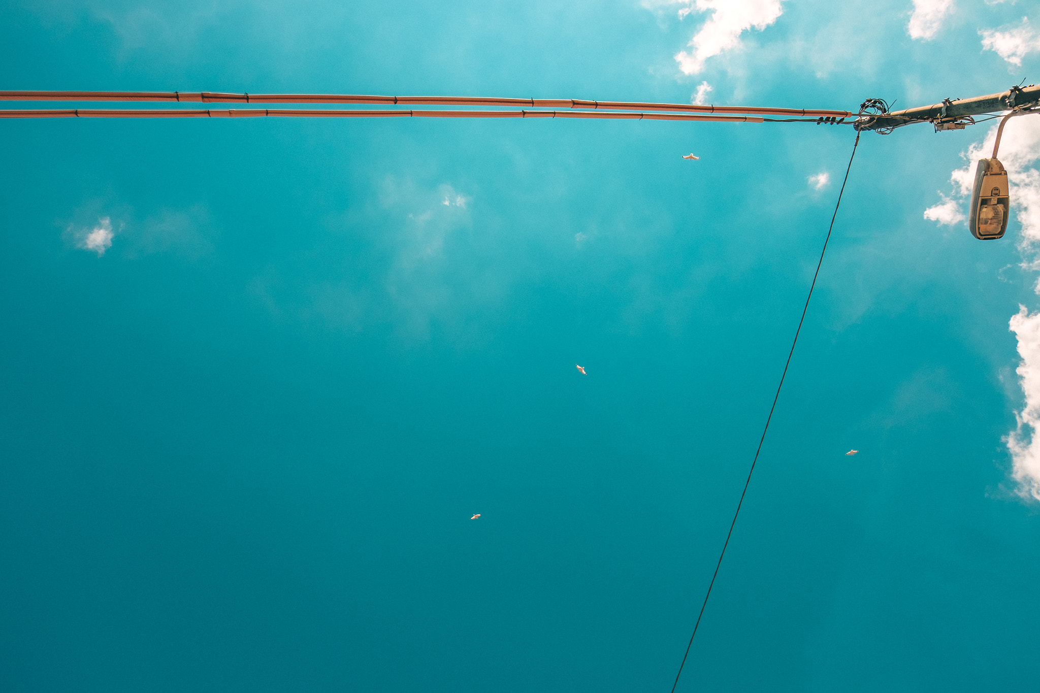 Fujifilm X-E2S + Fujifilm XC 16-50mm F3.5-5.6 OIS II sample photo. Looking up in trieste photography